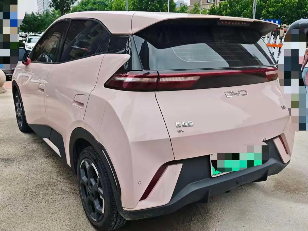 BYD 2024 Seagull Glory Edition 405km Flying Edition Automatic Gear 6