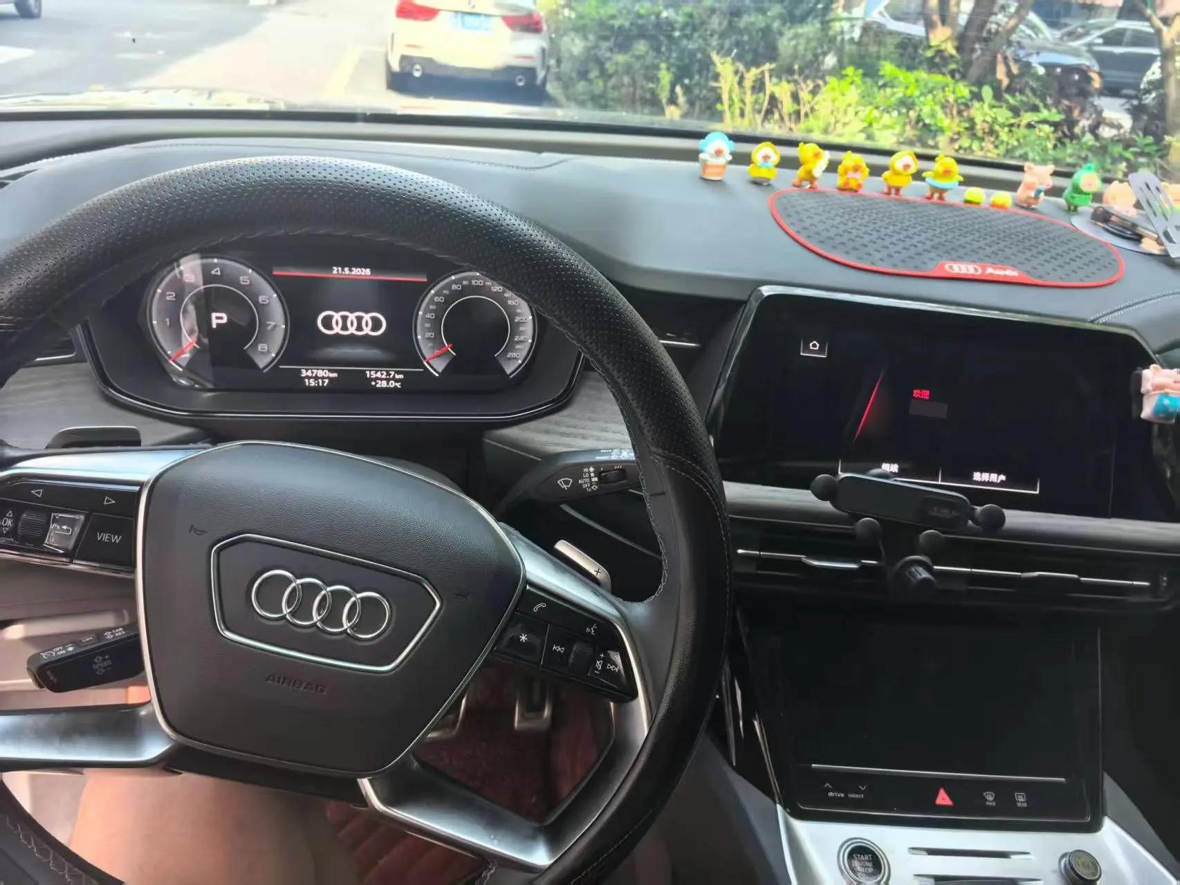 Audi Q6 2022 40 TFSI quattro Cloud View Light Feather Forest Set 4