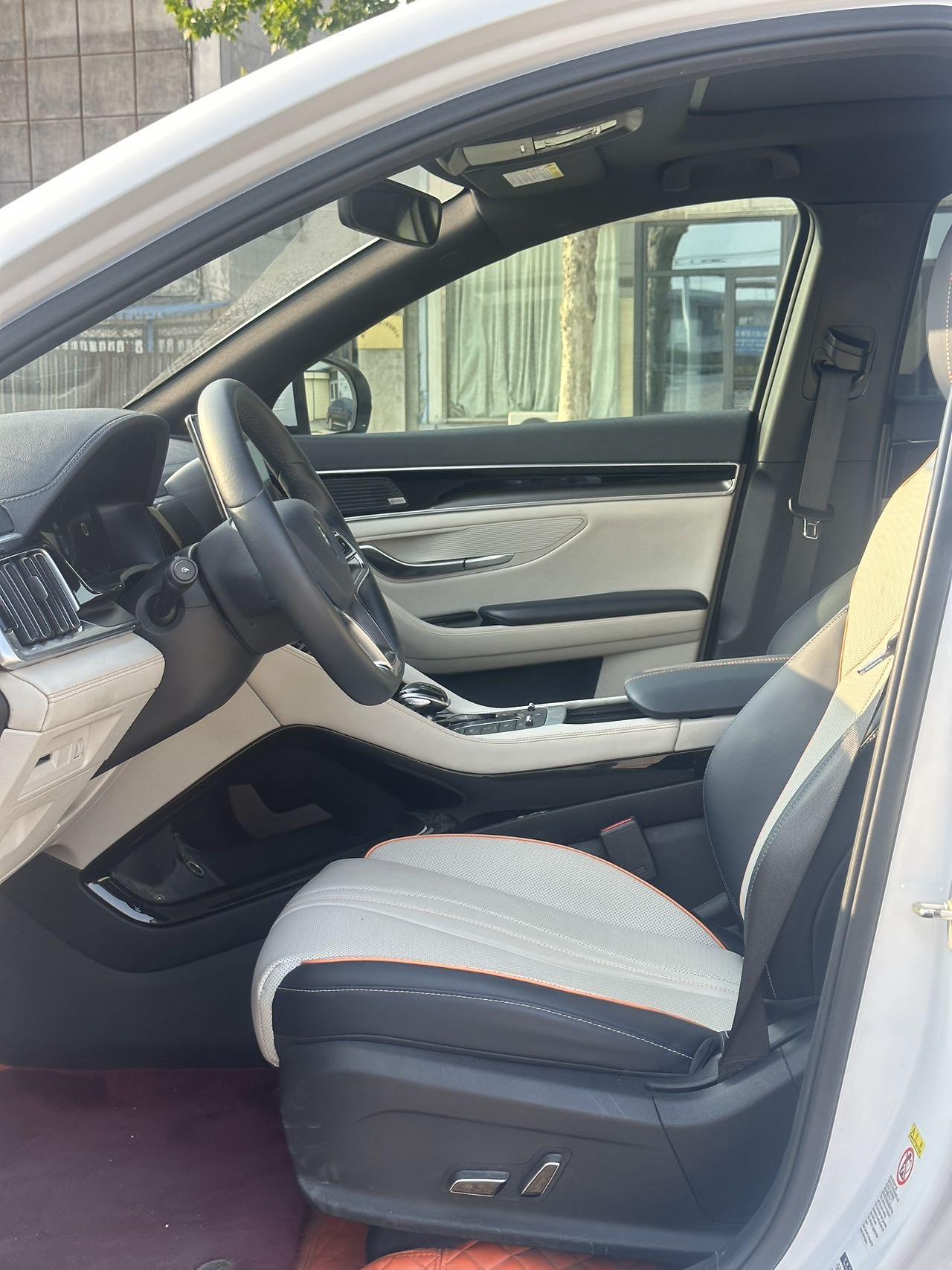 Song PLUS New Energy 2021 EV Flagship 3
