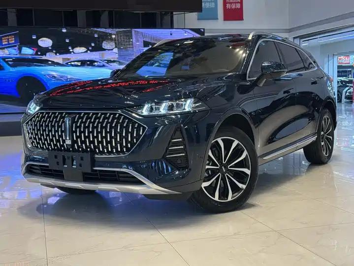 Mocha 2021 2.0T Two-Drive Special Alcohol Edition