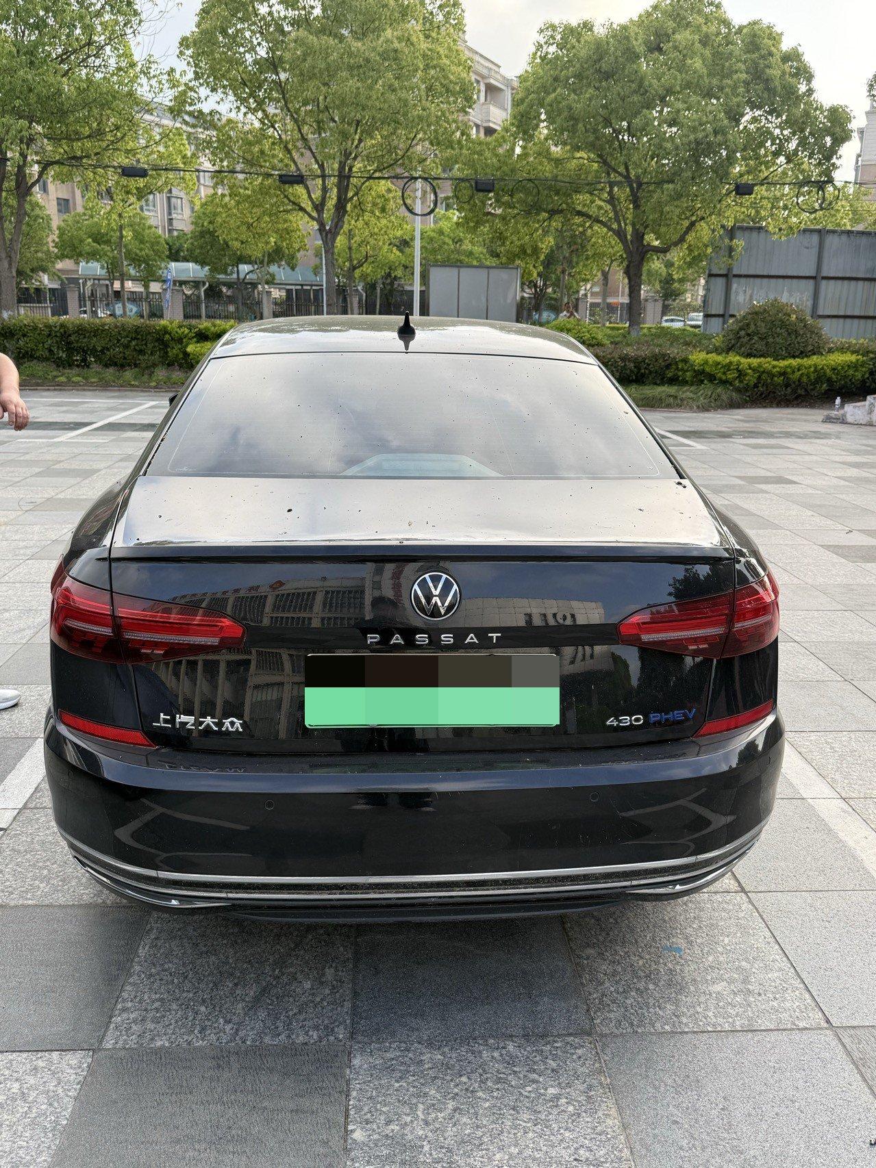 Passat New Energy 2020 430PHEV Hybrid Deluxe Edition National V 5