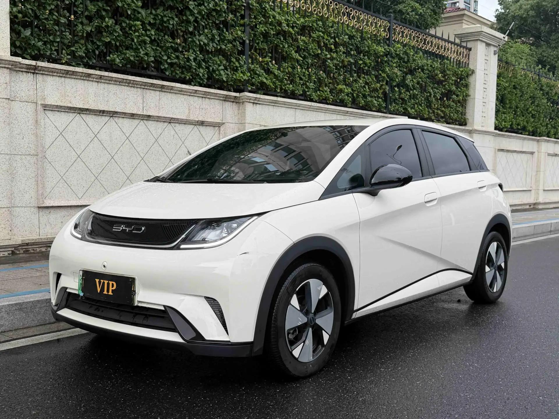 BYD 2023 Dolphin 420km Freedom Edition Automatic