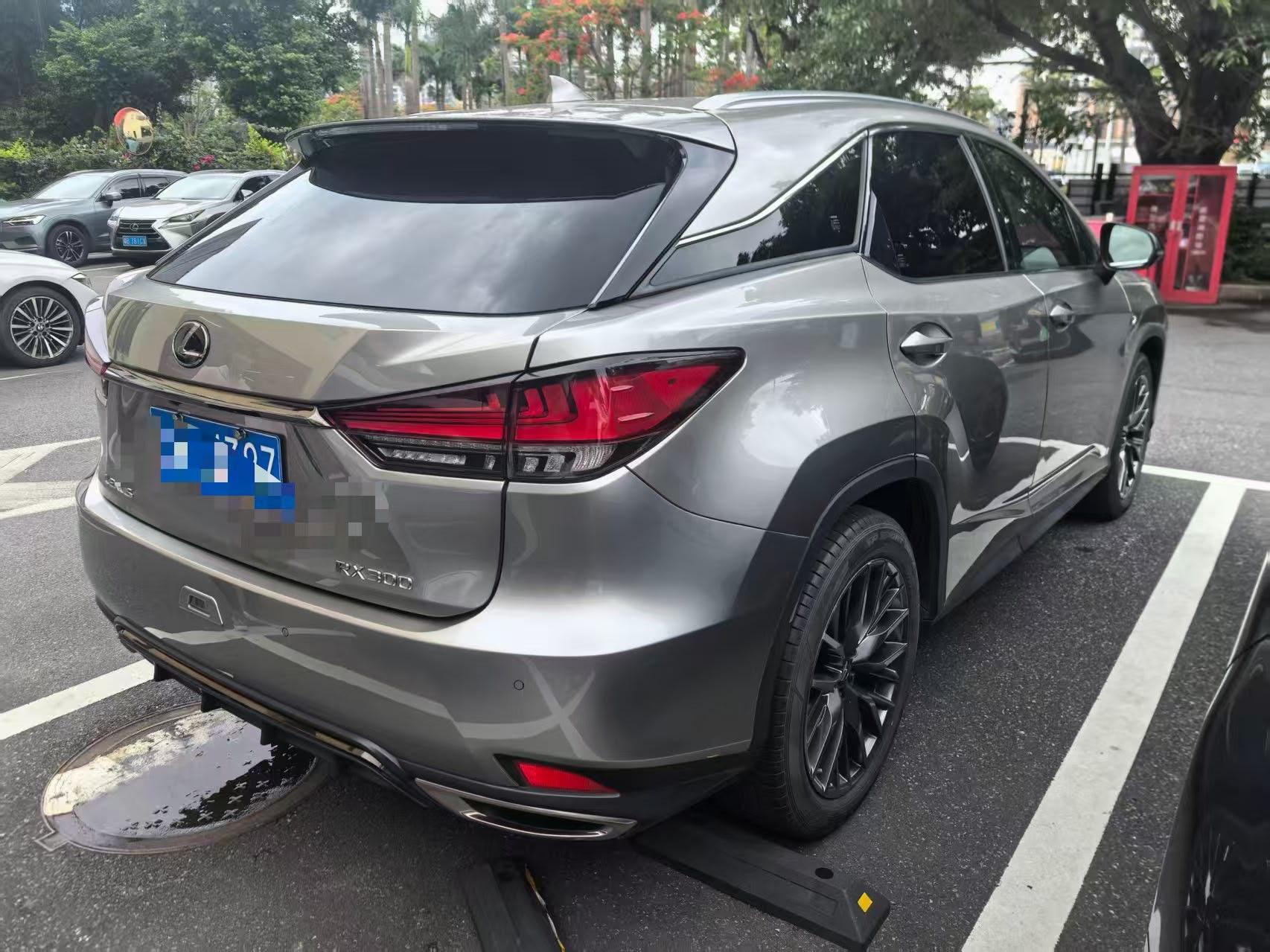 Lexus RX 2020 300 four-wheel drive F SPORT national v 2