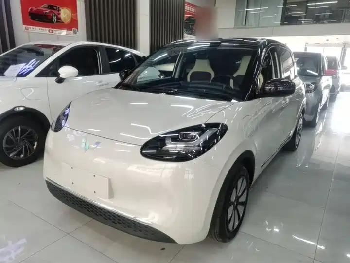WuLing Plantronics 2024 333km Pleasant