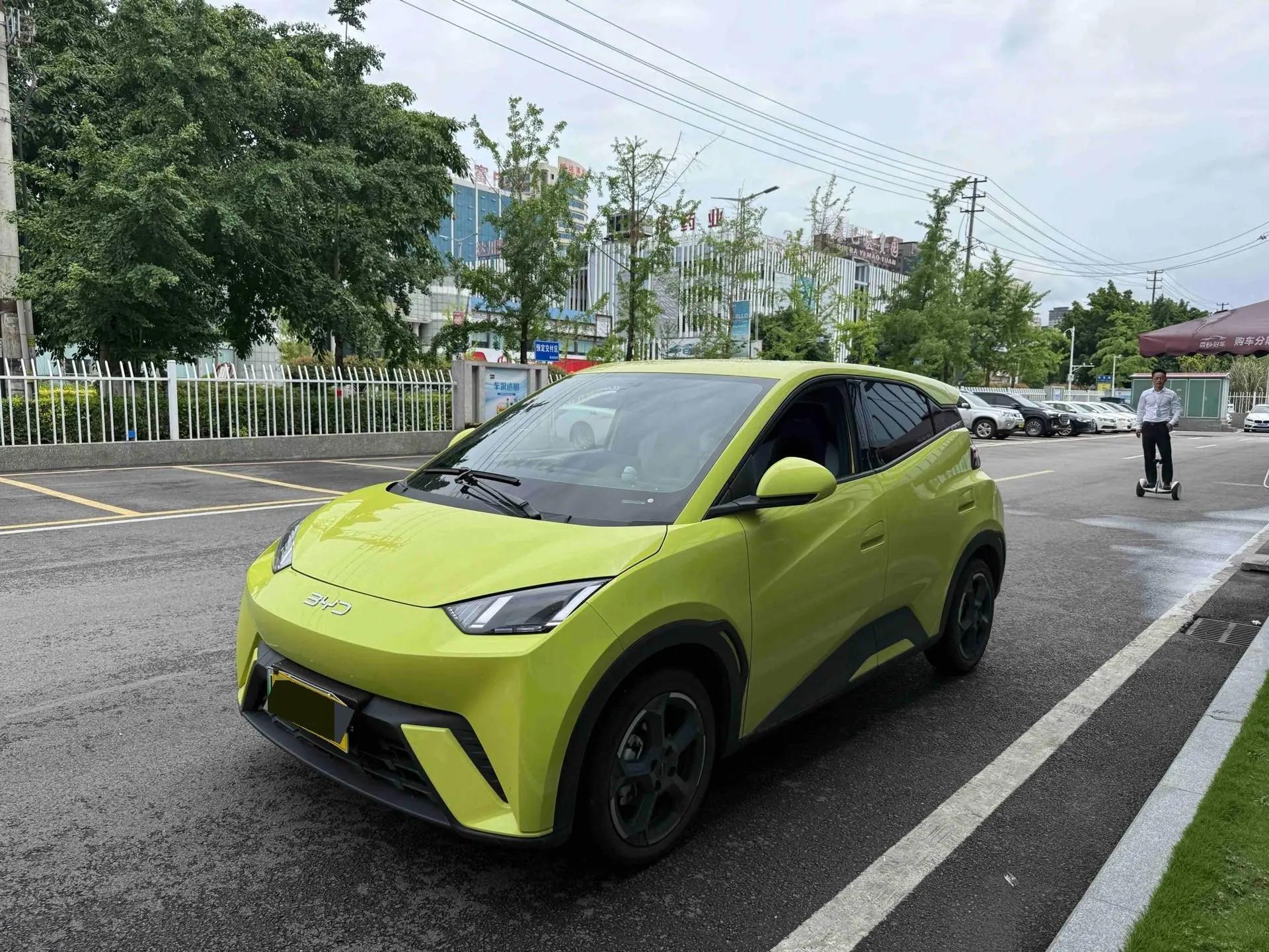 BYD 2024 Seagull Glory Edition 305km Free Version Automatic