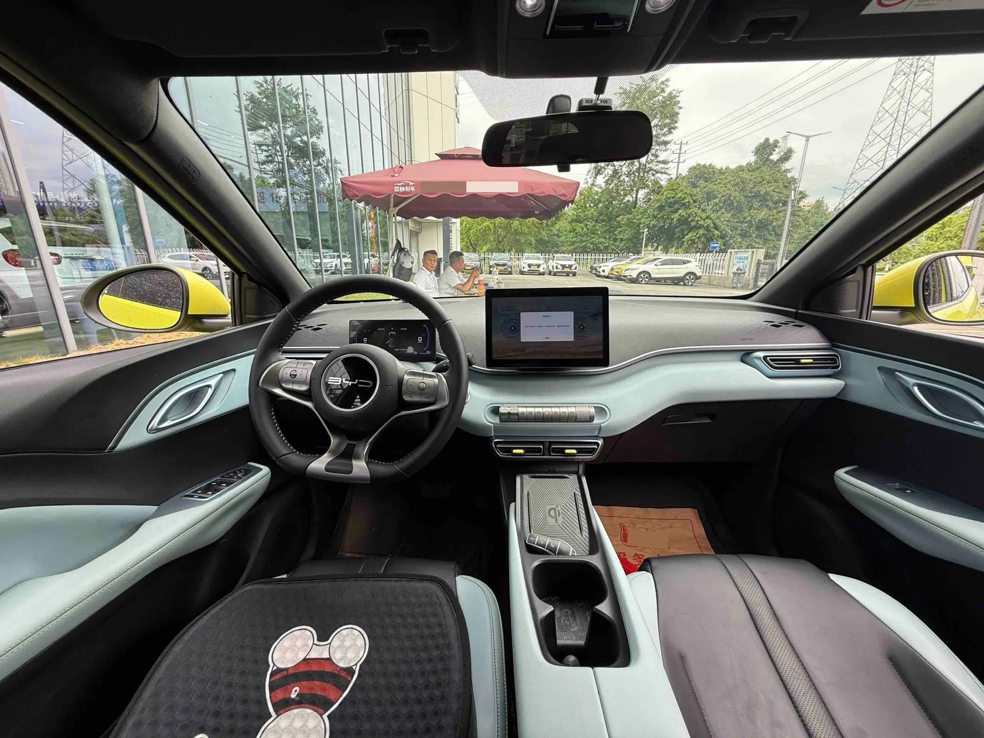 BYD 2024 Seagull Glory Edition 305km Free Version Automatic 3