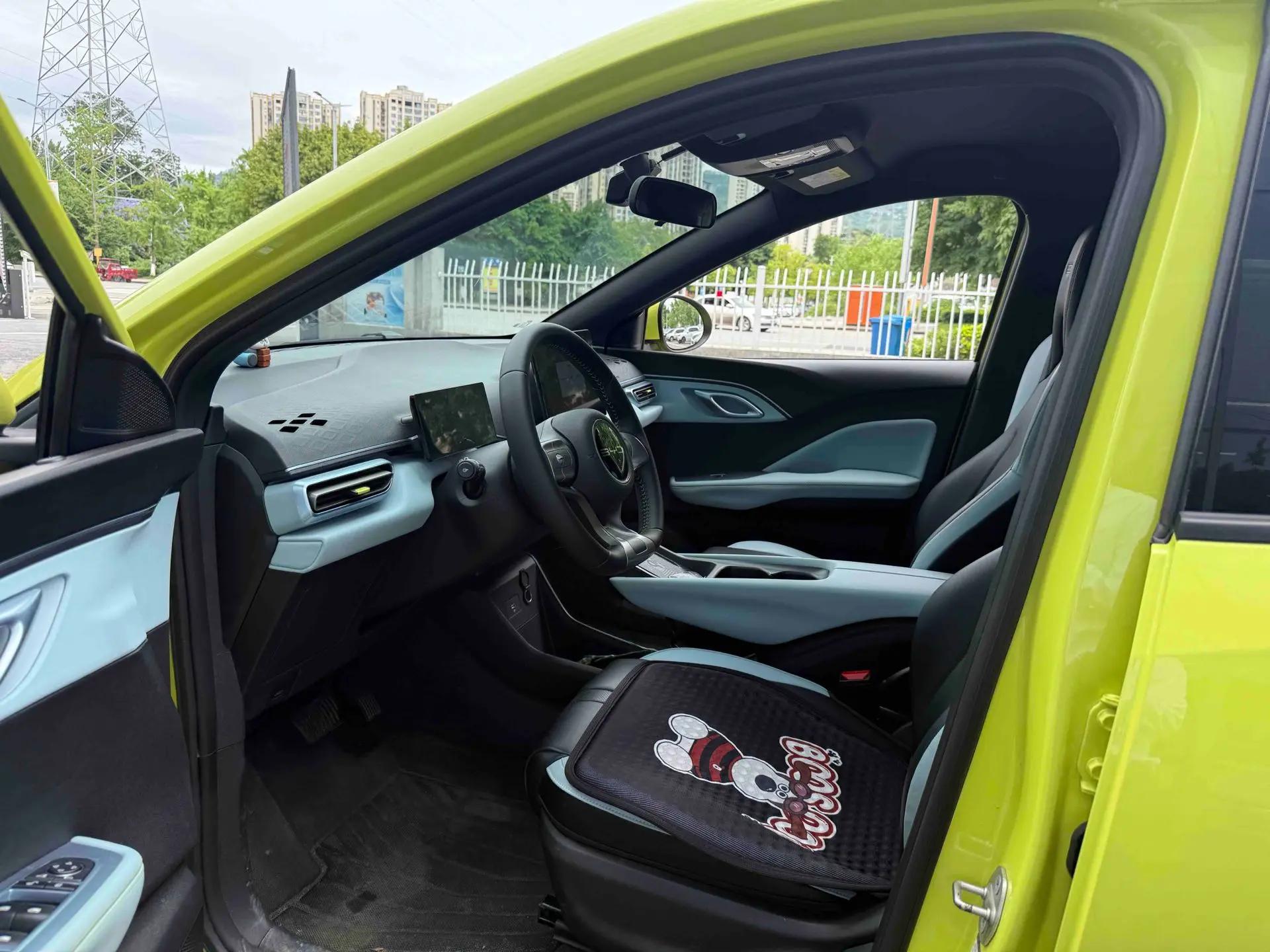 BYD 2024 Seagull Glory Edition 305km Free Version Automatic 4