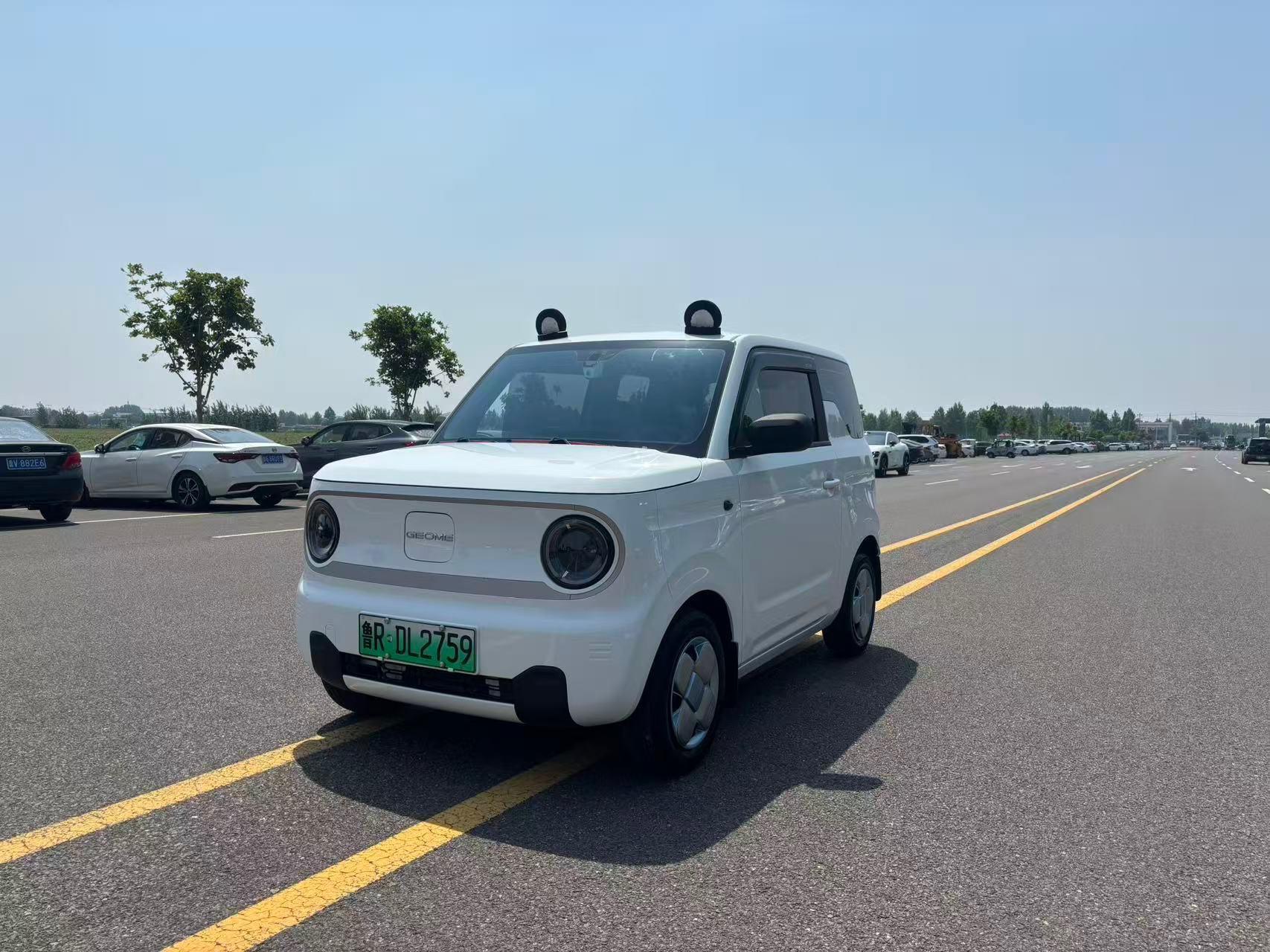 Panda 2024 panda mini 200km endurance bear