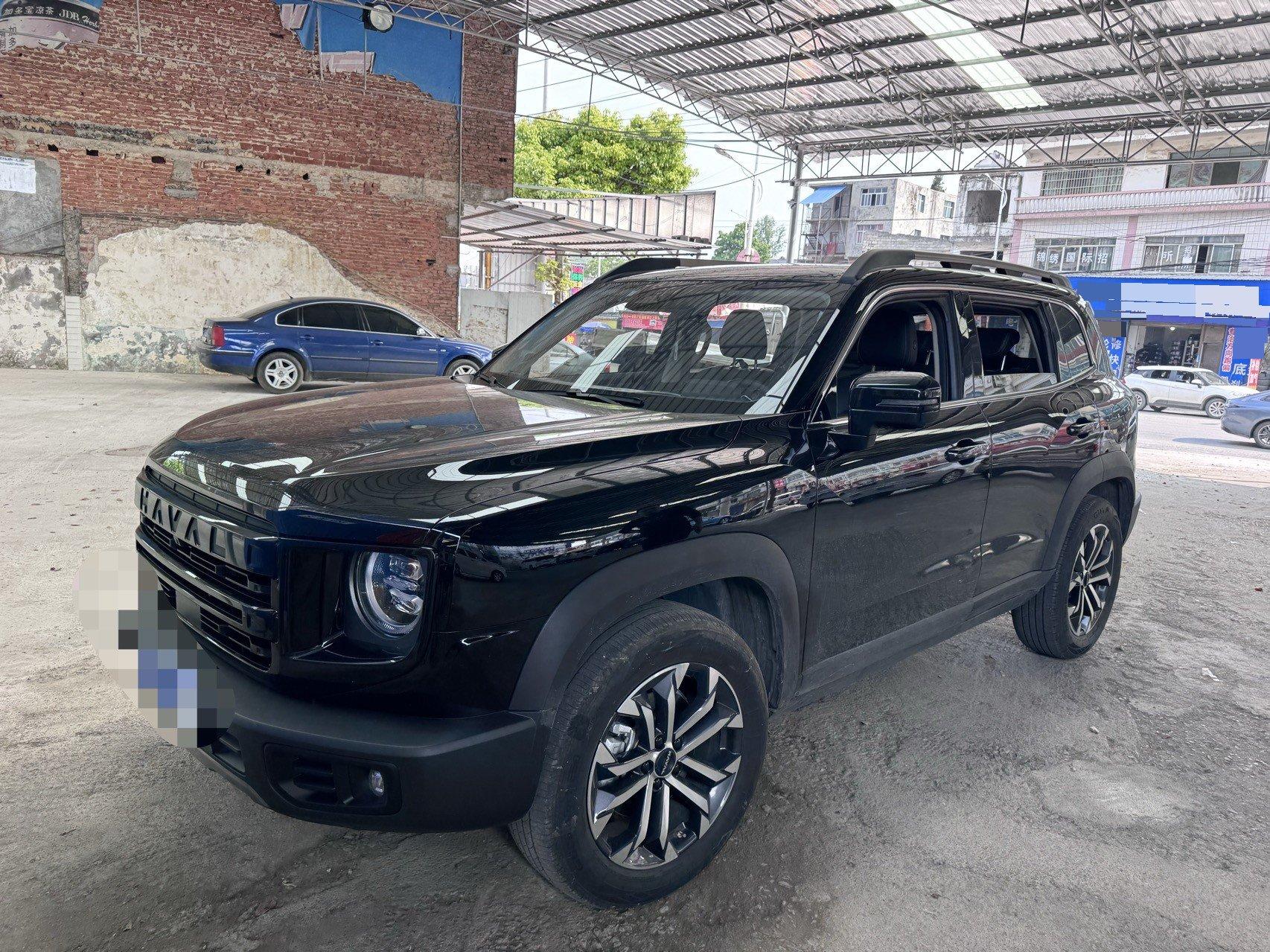 Haval 2024 Dog 1.5T Border Collie Edition Automatic