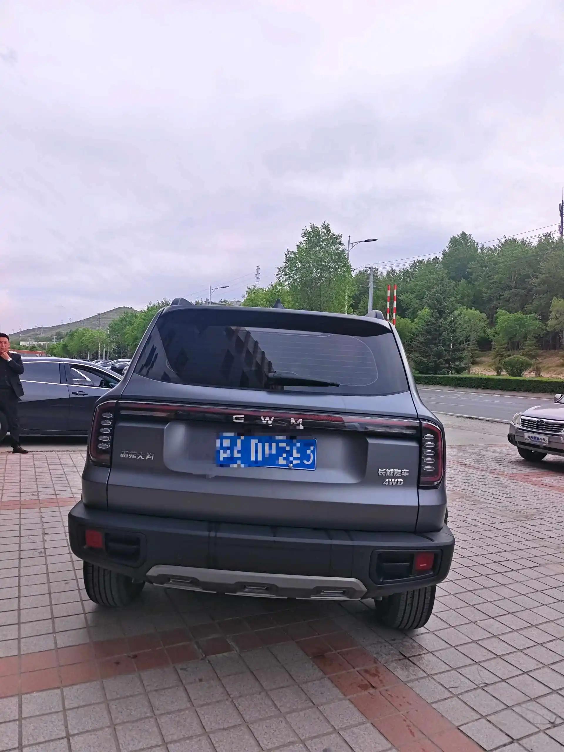 Haval 2026 big dog 2.0T Chinese garden dog version automatic gear 5