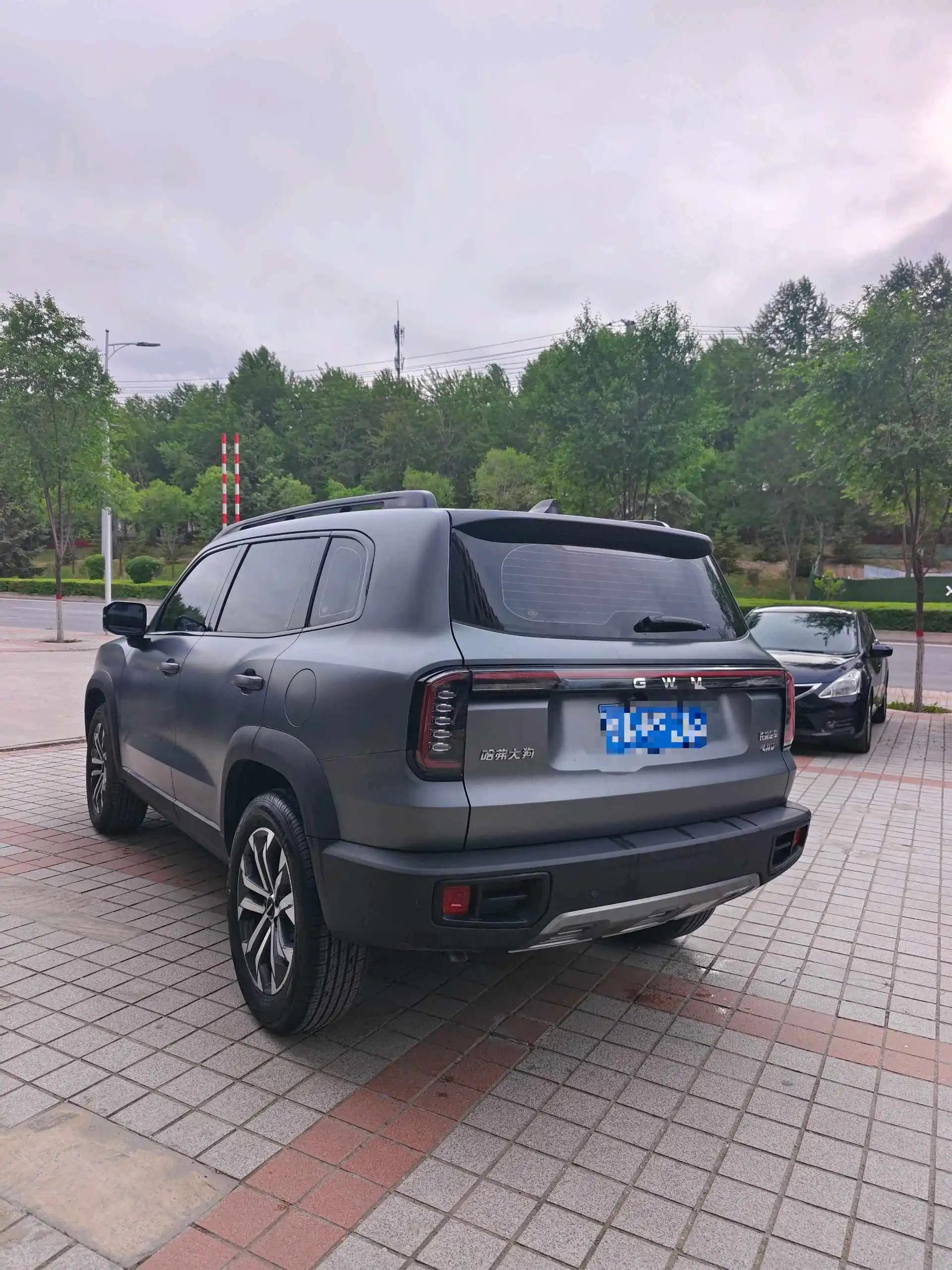 Haval 2026 big dog 2.0T Chinese garden dog version automatic gear 6