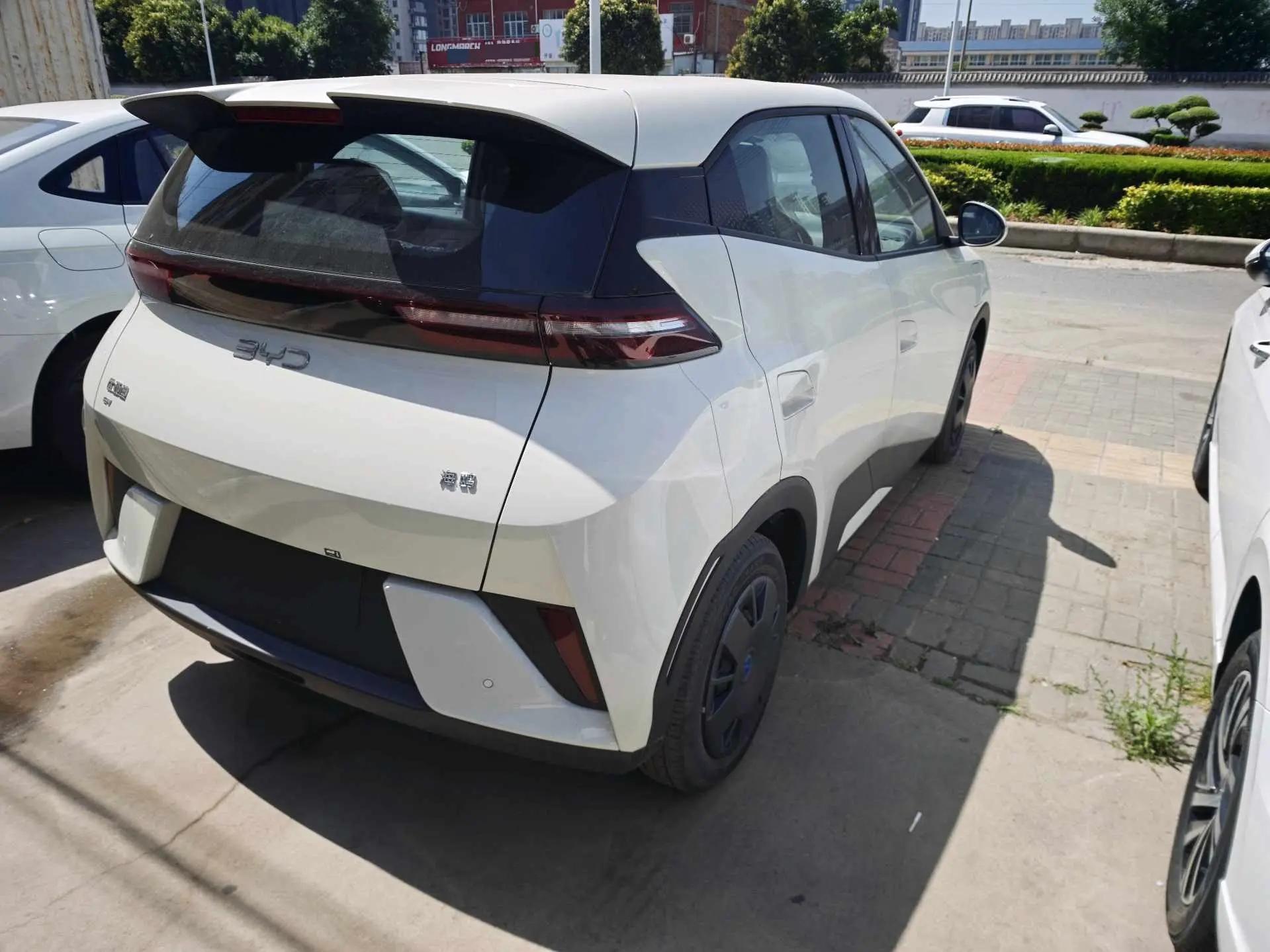 BYD 2025 Seagull Intelligent Driving Edition 305km Vitality Edition Automatic 5
