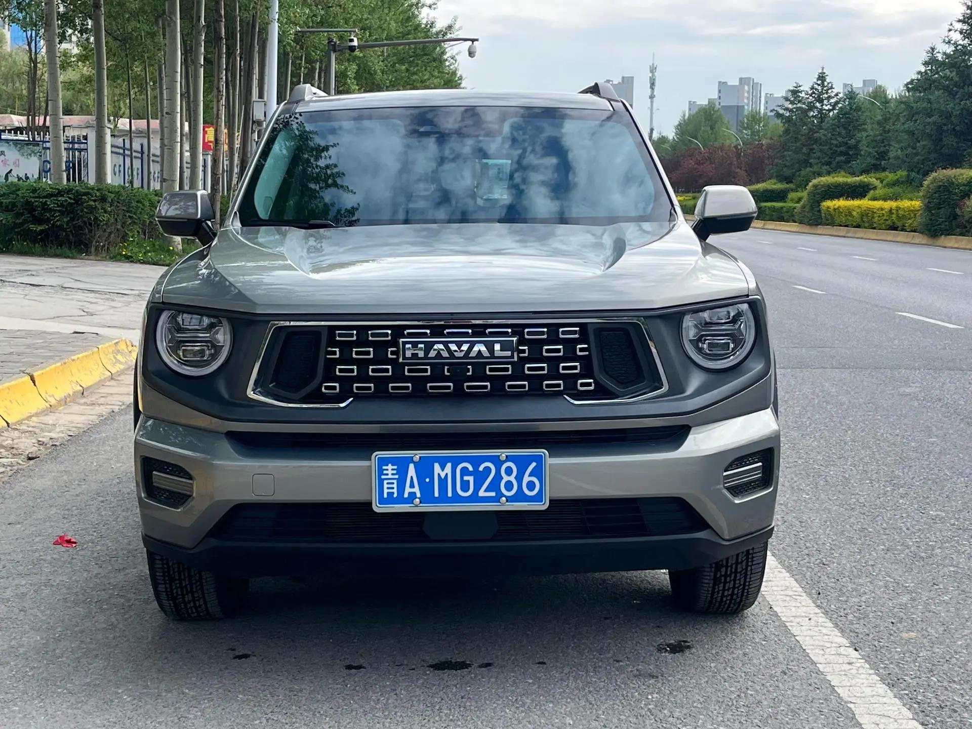 Haval 2023 Dog 1.5T Two-Wheel Drive Chao Ye Edition Plus Automatic 2
