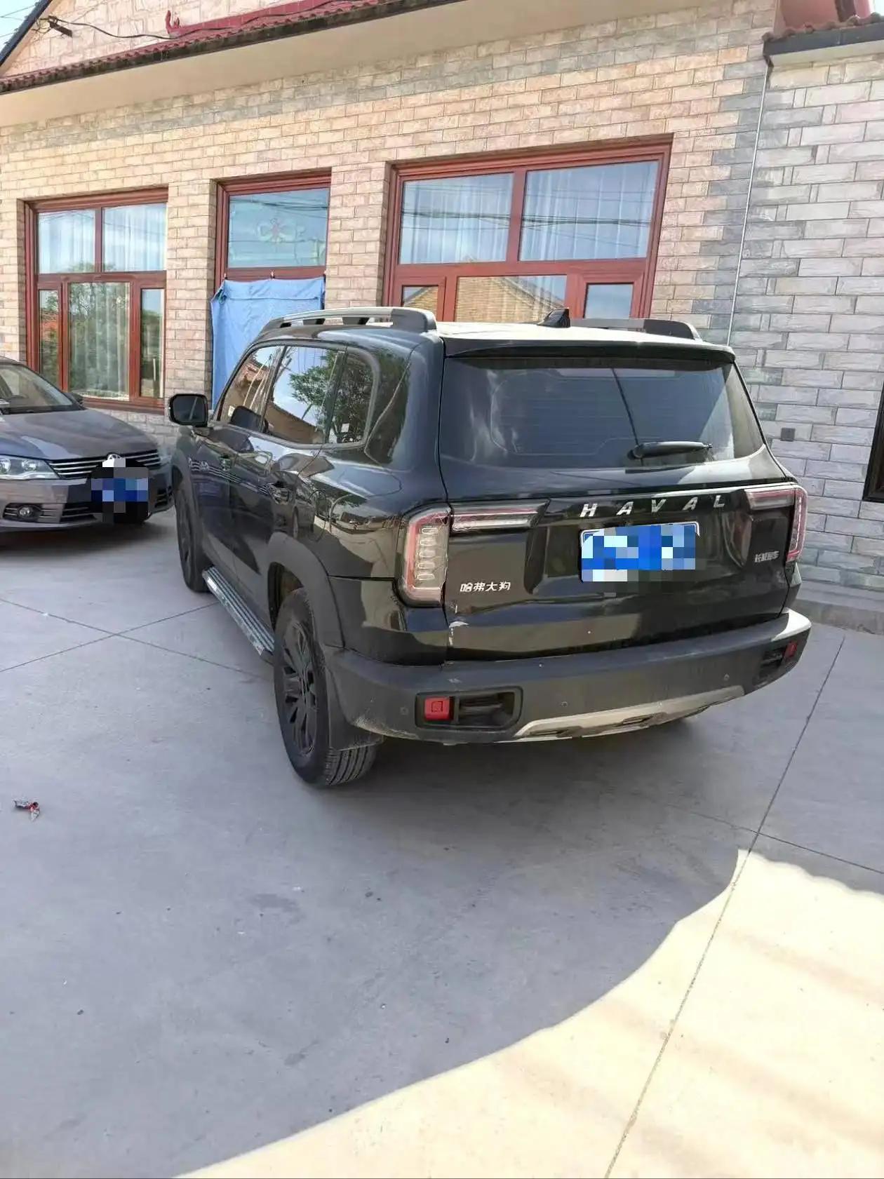 Haval Big Dog 2022 1.5T DCT Two-Drive Labrador Edition 5