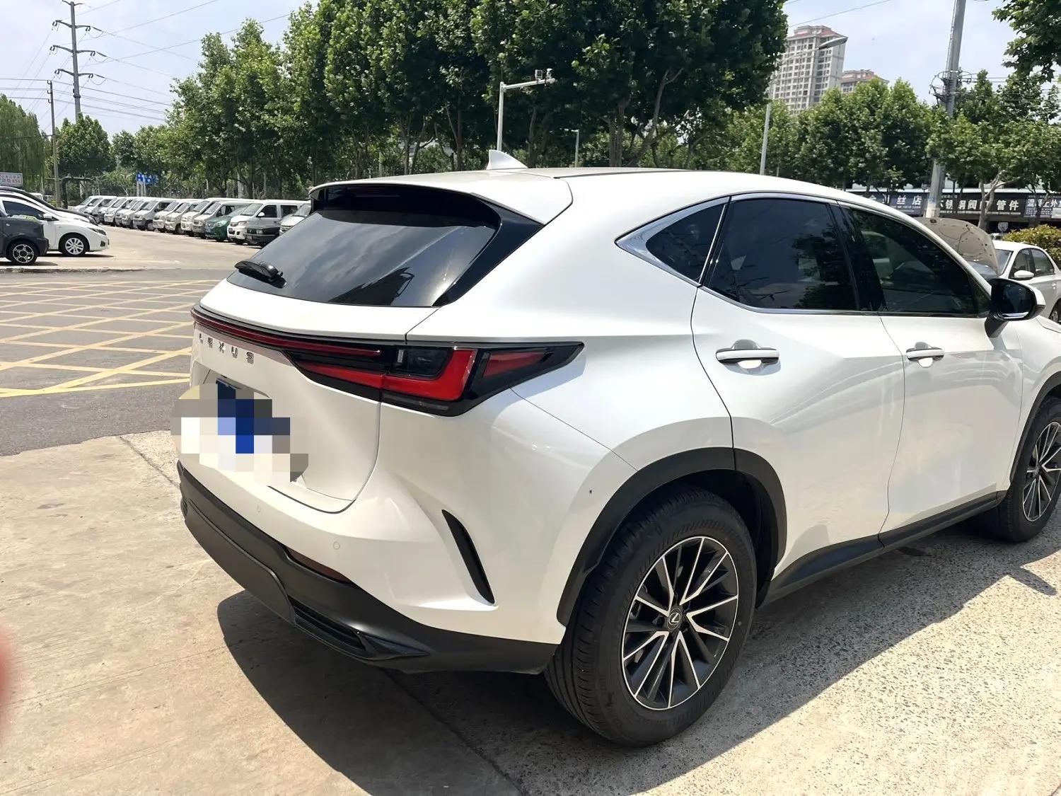 Lexus NX (Imported) 2025 NX260 2.5 10th Anniversary Special Limited Edition Automatic Gear 7