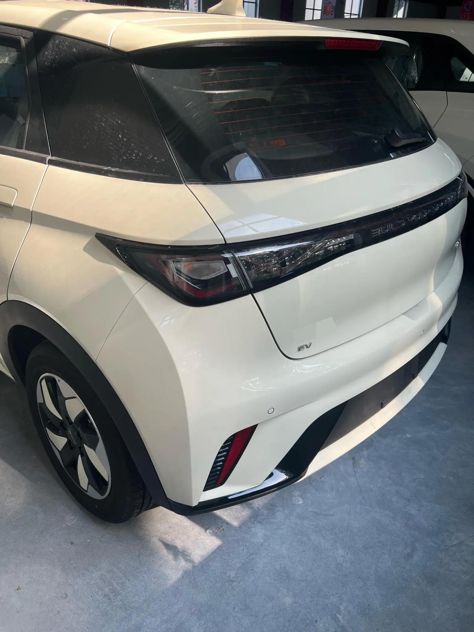 BYD 2025 Dolphin 420km Freedom Edition Automatic 4