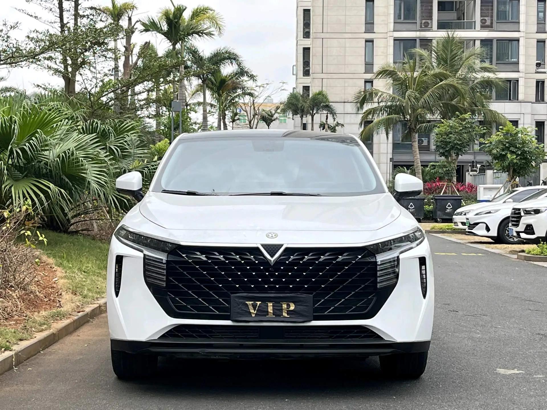 Venucia big V 2022 260T dark horse version love beans 2