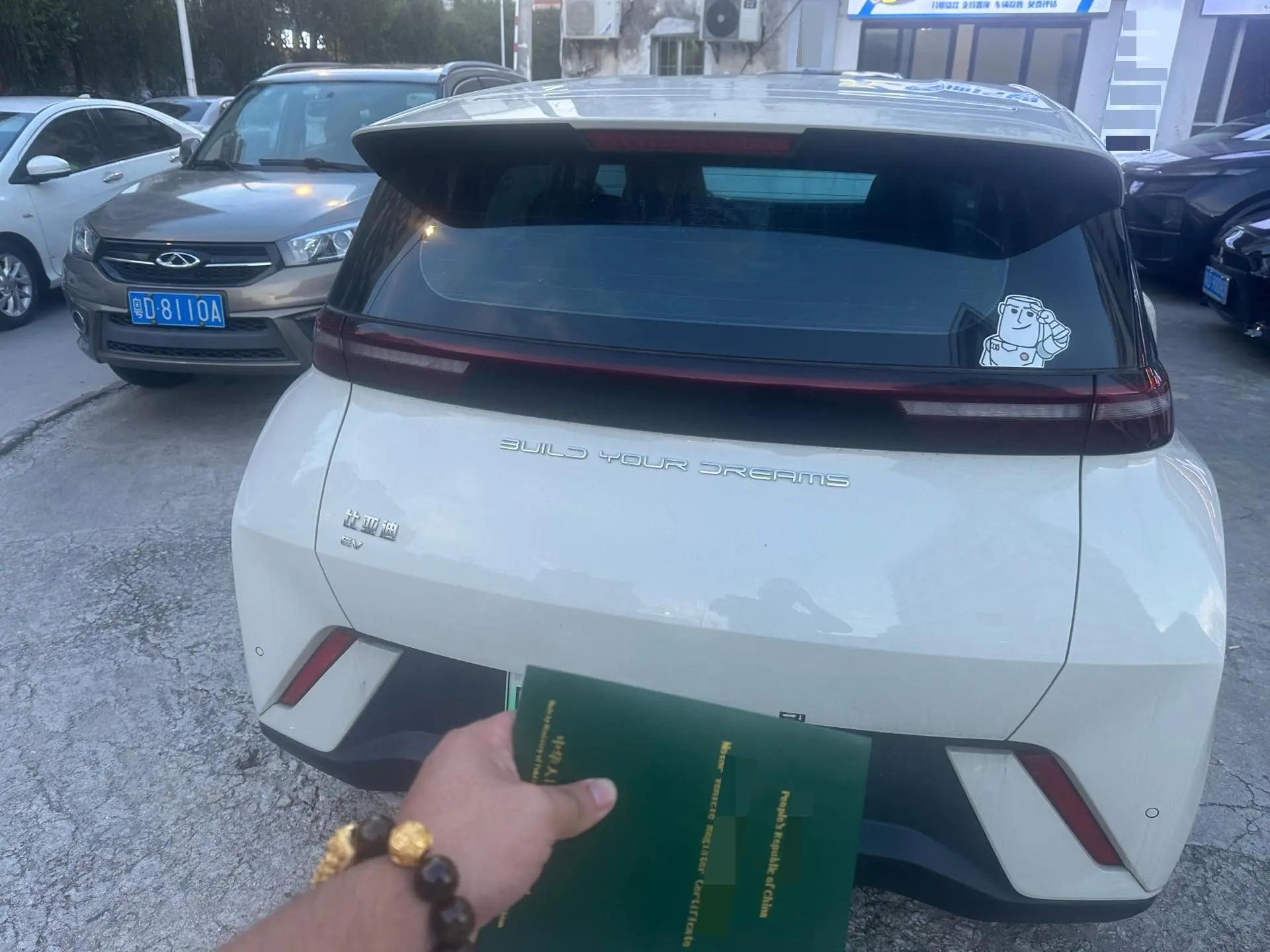 BYD 2024 Seagull Glory Edition 305km Free Version Automatic 5