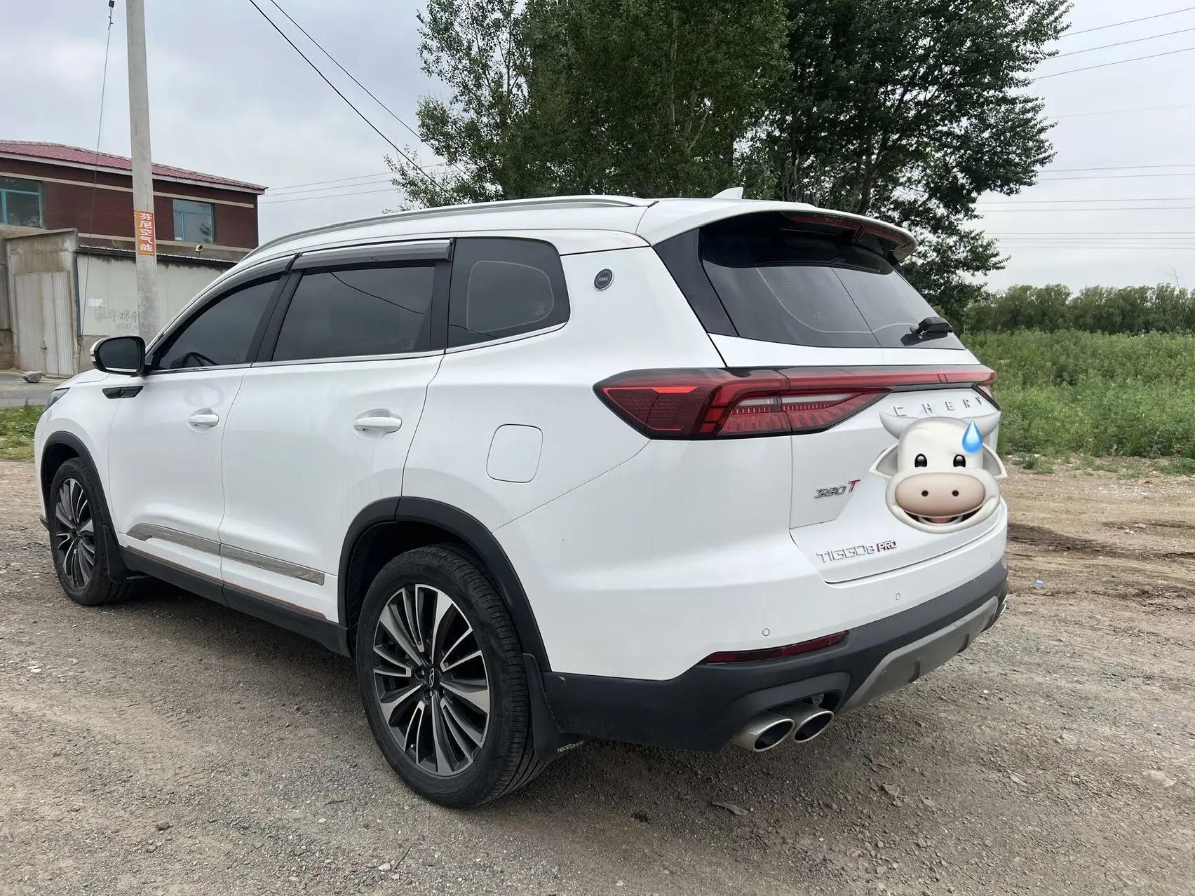 Ruihu 8 PRO 2024 Champion Edition 390T Two-Drive Peak Edition 5 9