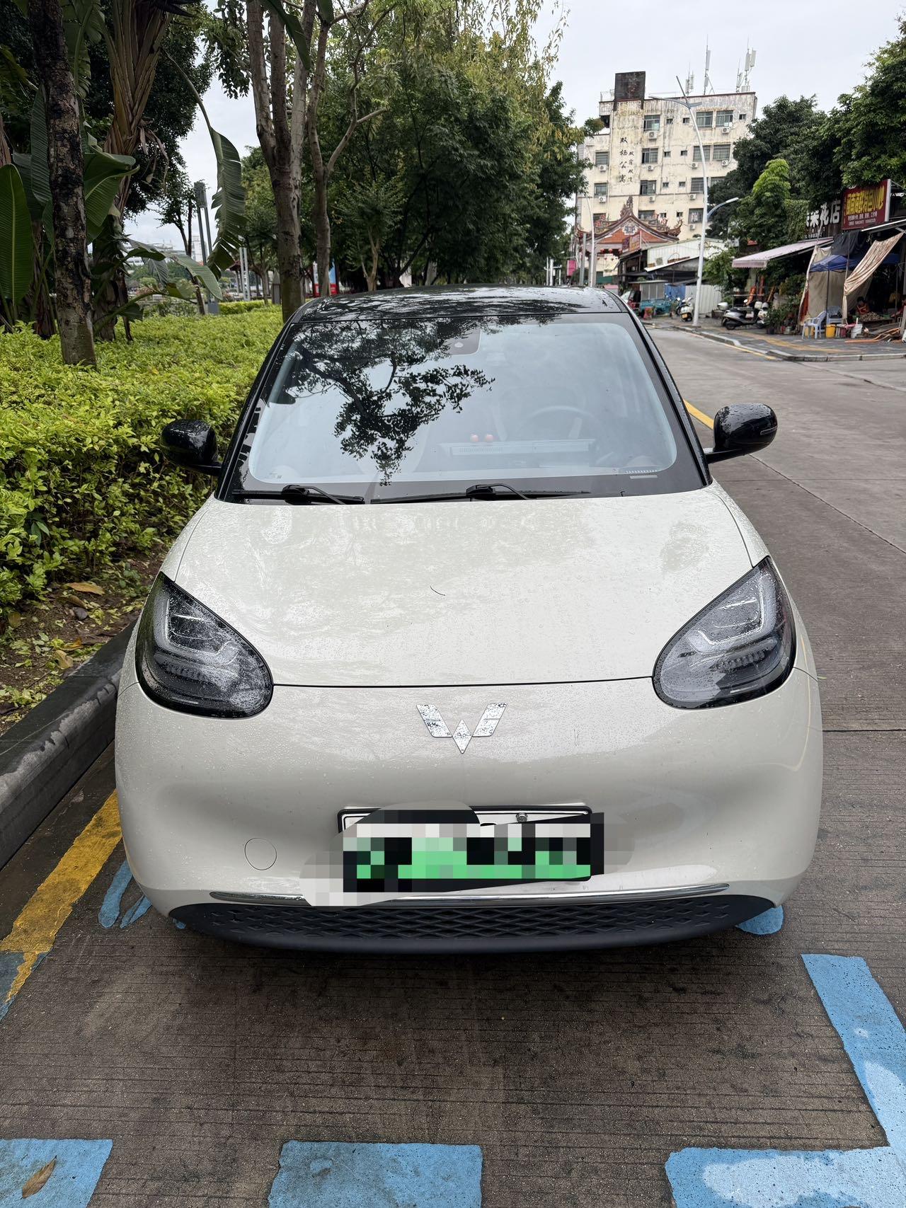 WuLing Plantronics 2023 333km Pleasant 2