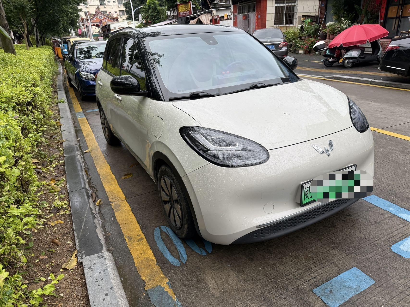 WuLing Plantronics 2023 333km Pleasant 3