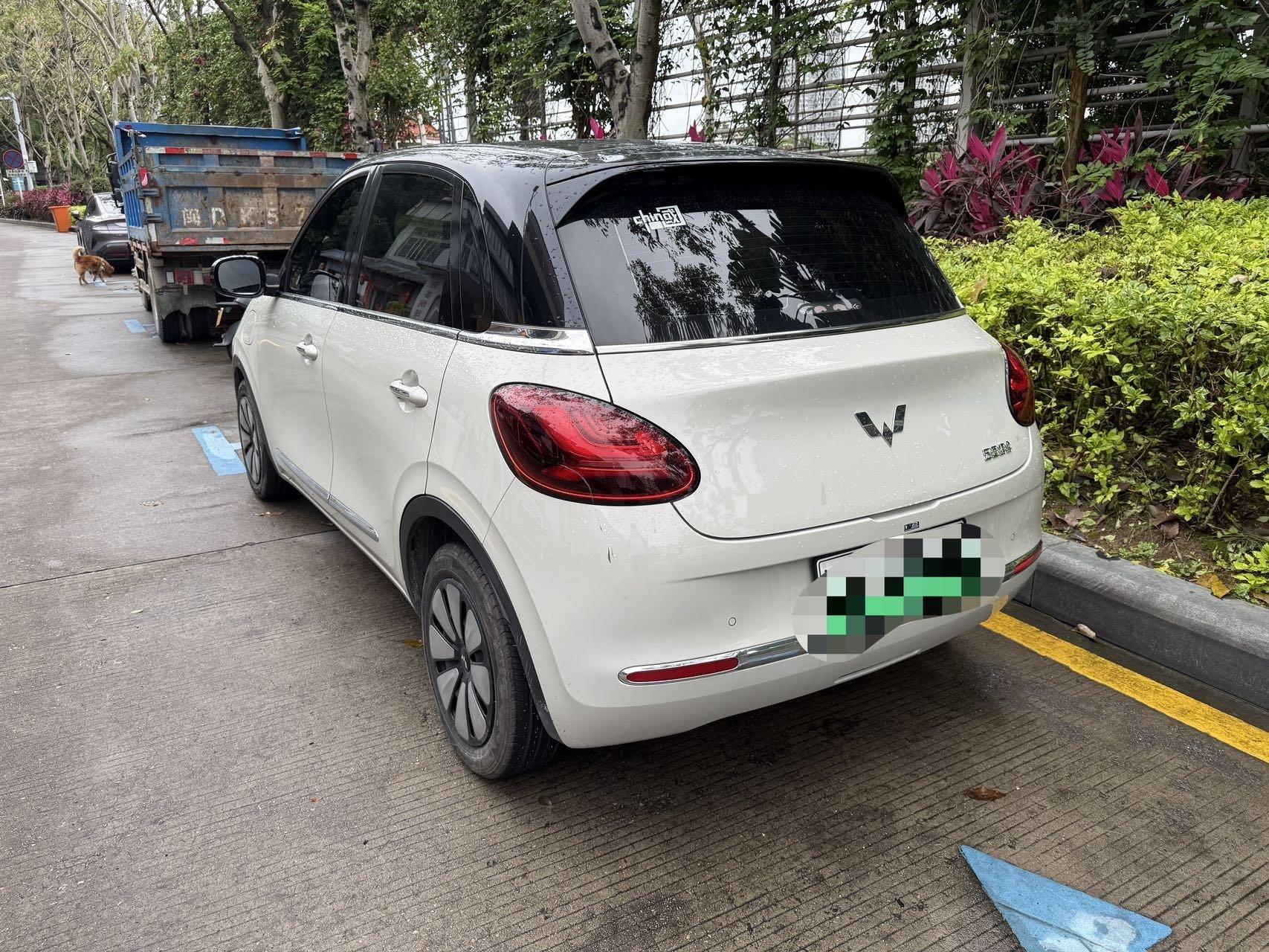 WuLing Plantronics 2023 333km Pleasant 4