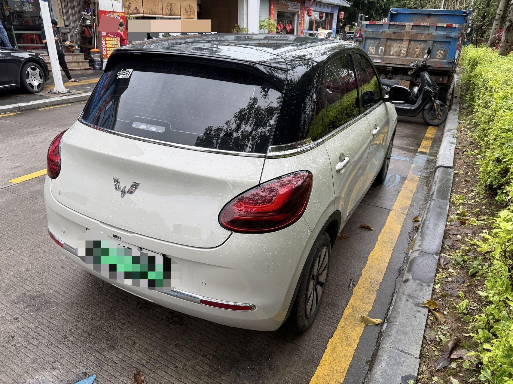WuLing Plantronics 2023 333km Pleasant 5