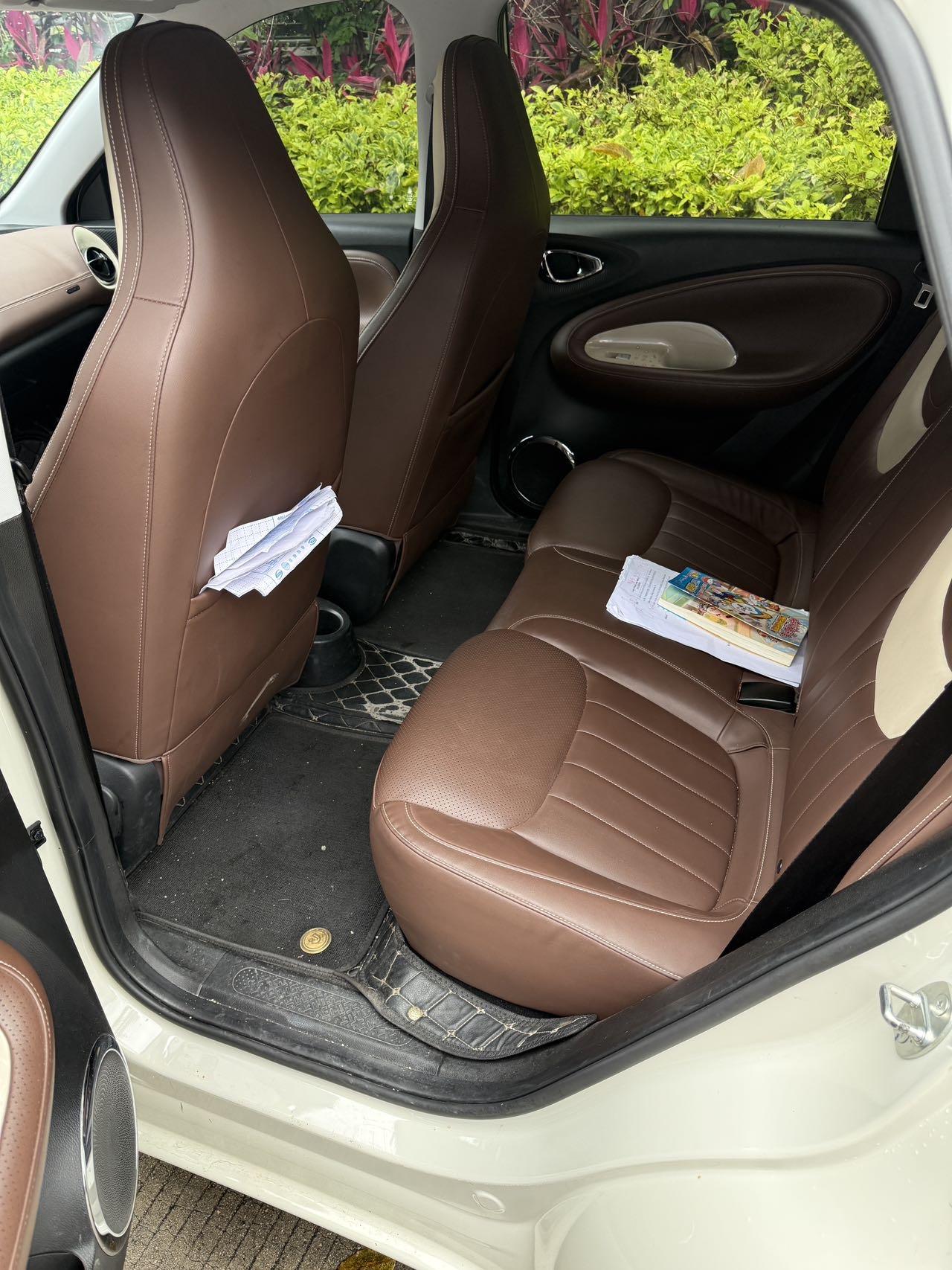 WuLing Plantronics 2023 333km Pleasant 7