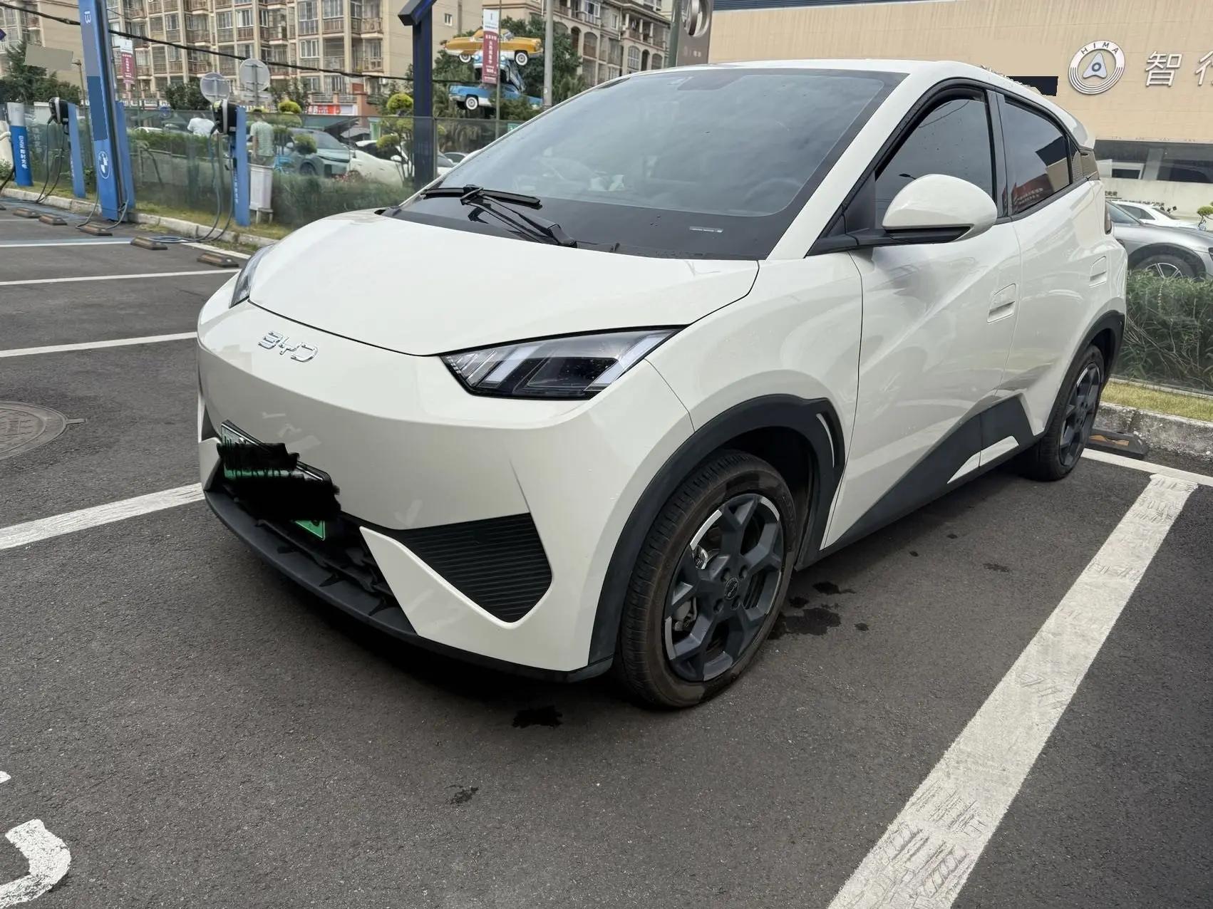 BYD 2025 Seagull Smart Driving Edition 405km Free Edition Automatic Gear