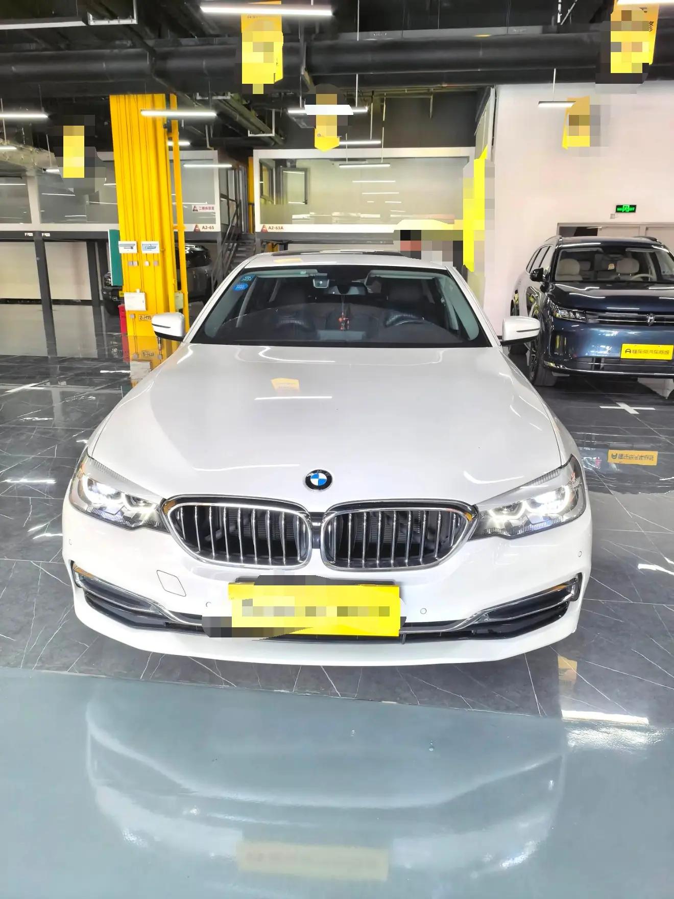 BMW 5 Series 2020 525Li Deluxe Suit 2