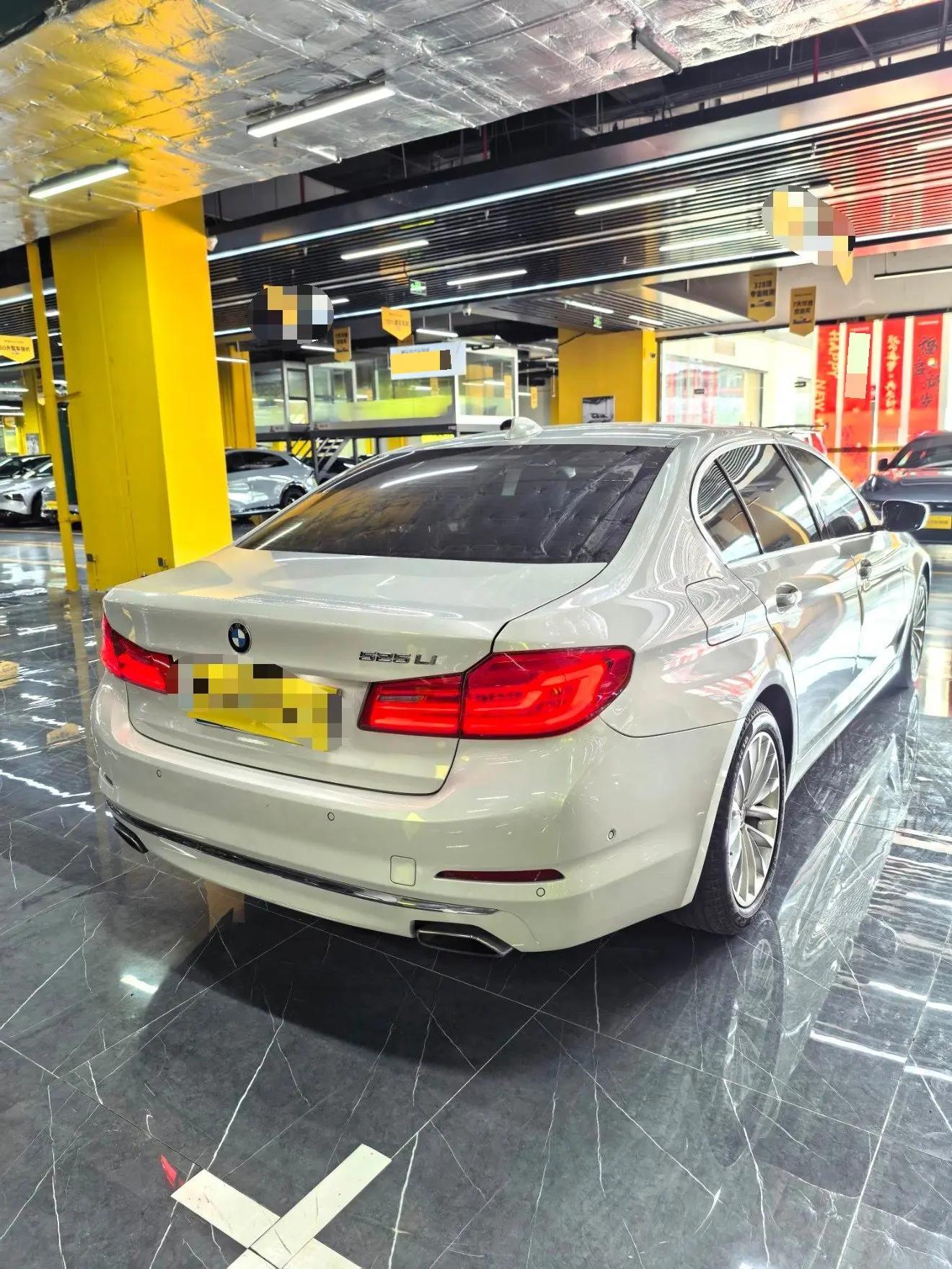 BMW 5 Series 2020 525Li Deluxe Suit 4