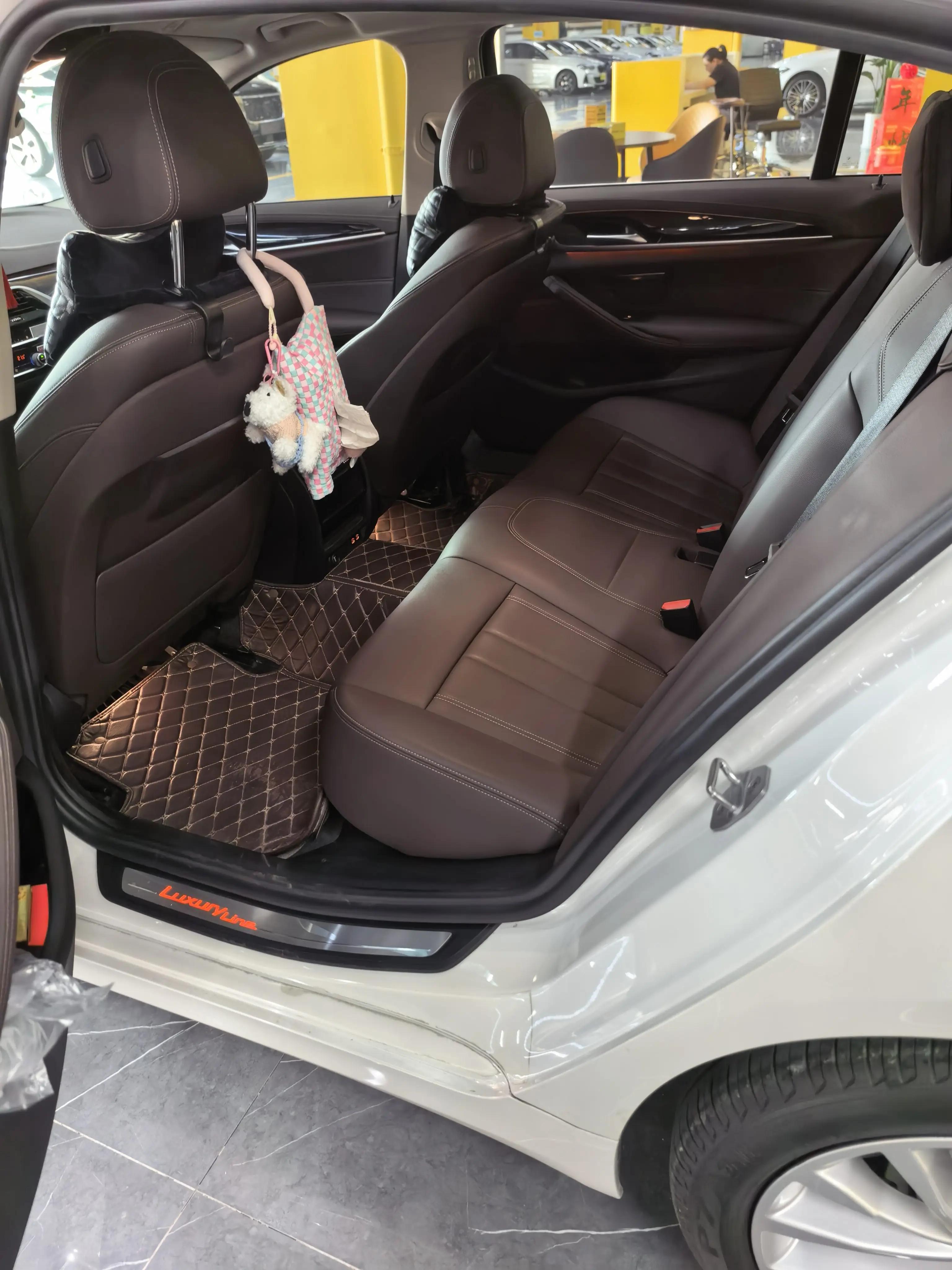 BMW 5 Series 2020 525Li Deluxe Suit 6