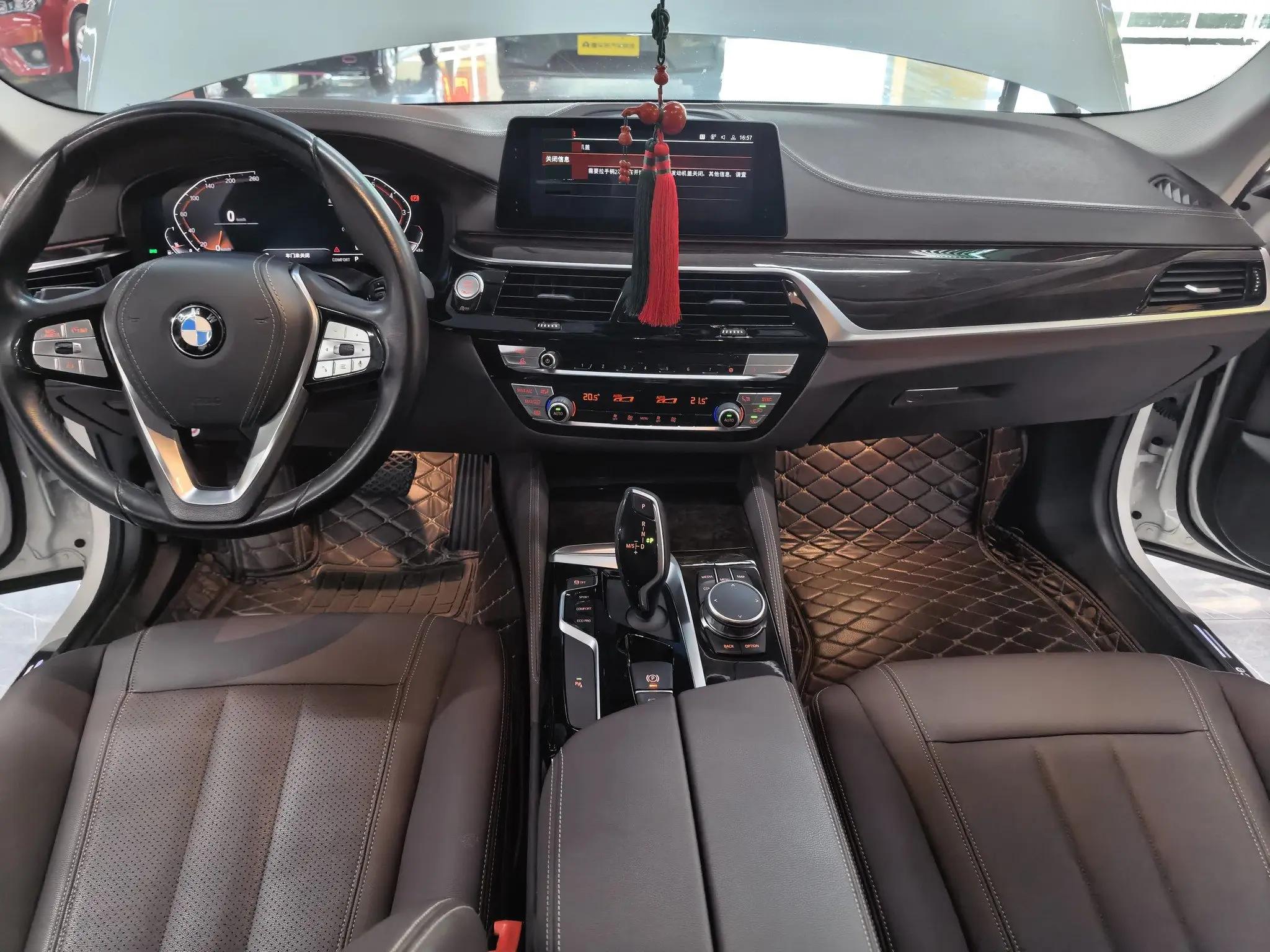 BMW 5 Series 2020 525Li Deluxe Suit 8