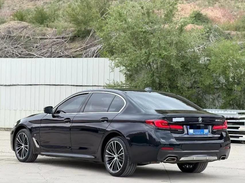 BMW 5 Series 2021 530Li Leading Luxury Suit 9