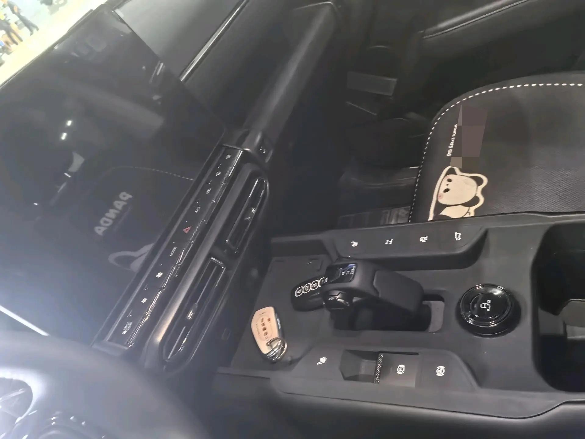 Haval 2023 Dog 2.0T Two-Wheel Drive Chao Ye Edition Plus Automatic 4