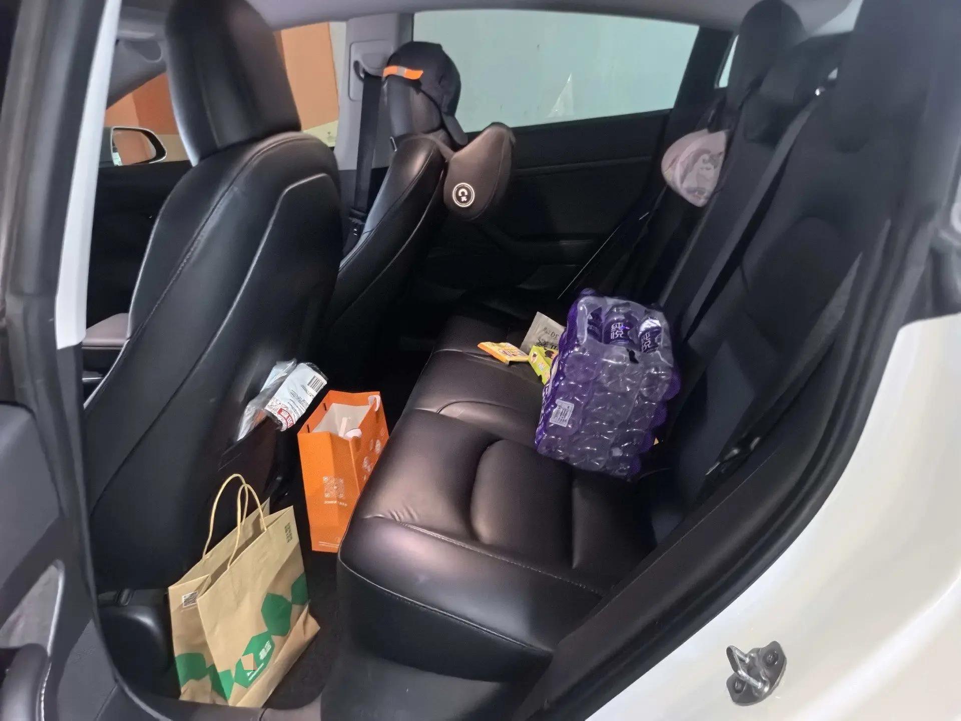 Model 3 2020 Standard Endurance Rear Drive Upgrade 4