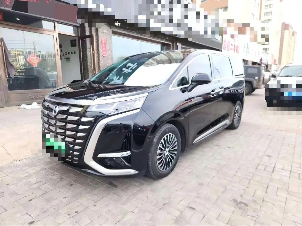 Denza D9 2024 DM-i 980 4-wheel drive Honor Model