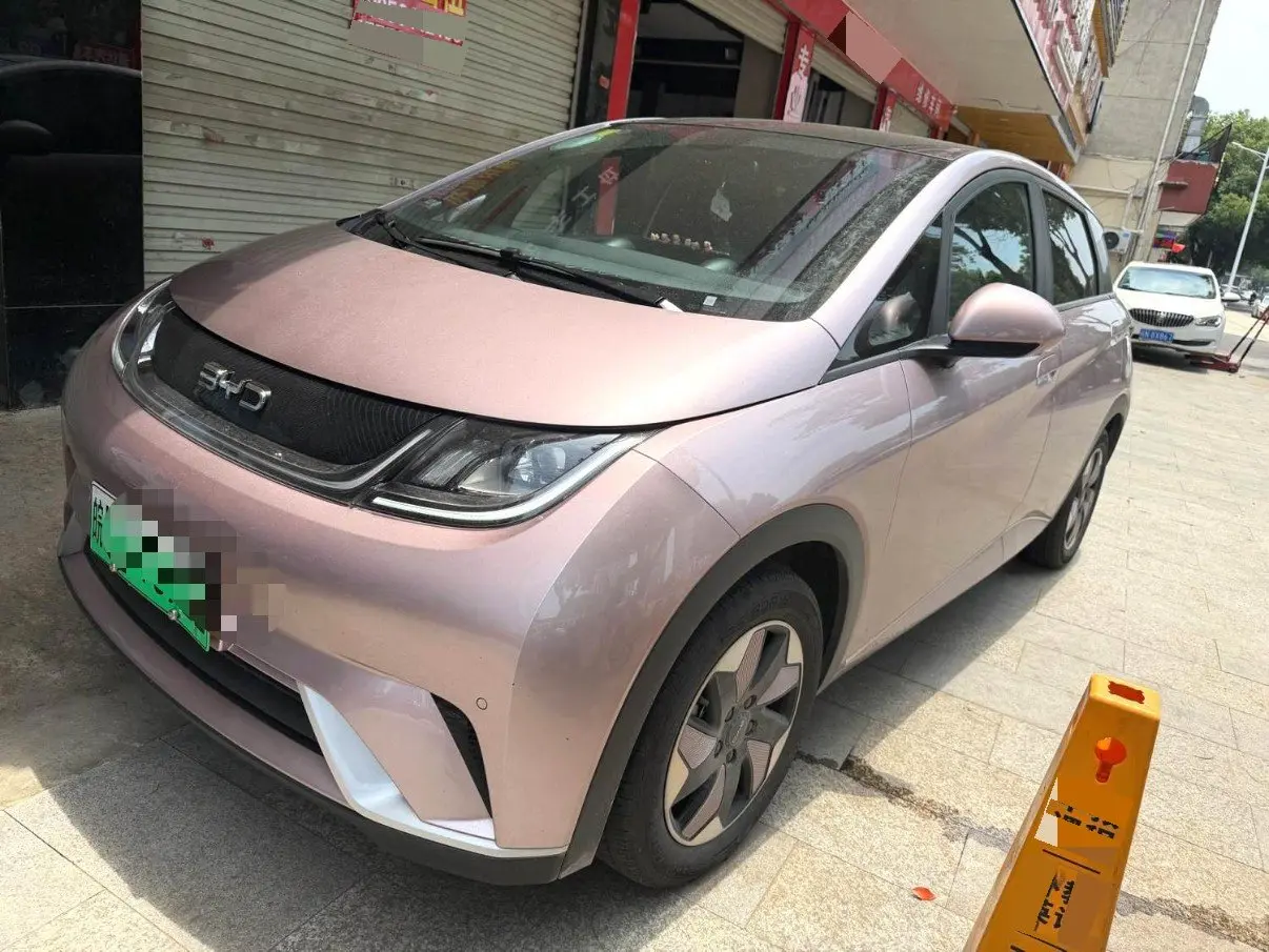 BYD 2024 Dolphin Glory Edition 420km Free Version Automatic