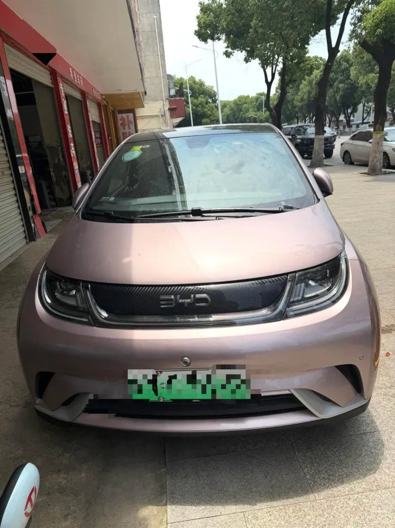 BYD 2024 Dolphin Glory Edition 420km Free Version Automatic 2