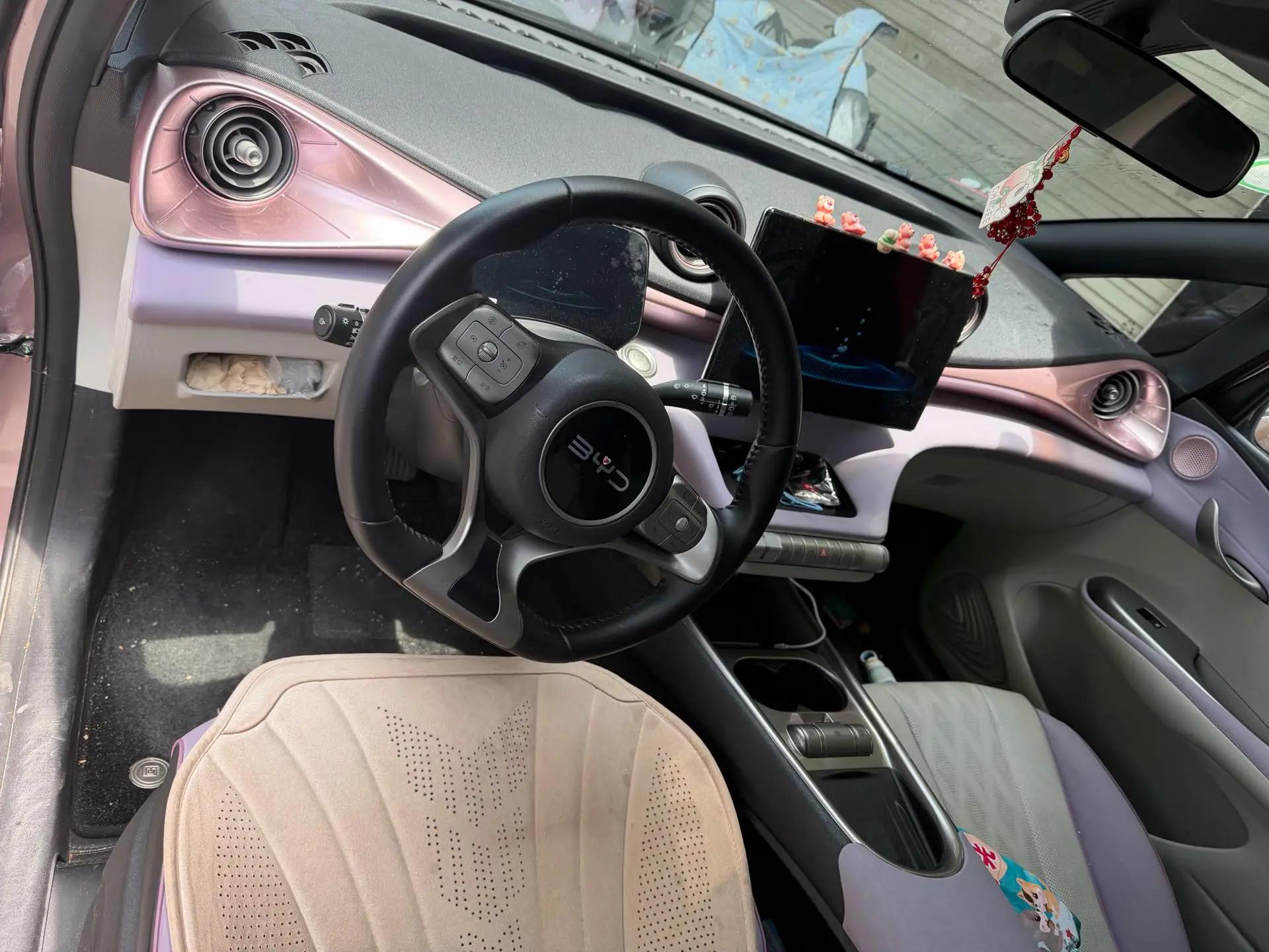 BYD 2024 Dolphin Glory Edition 420km Free Version Automatic 3