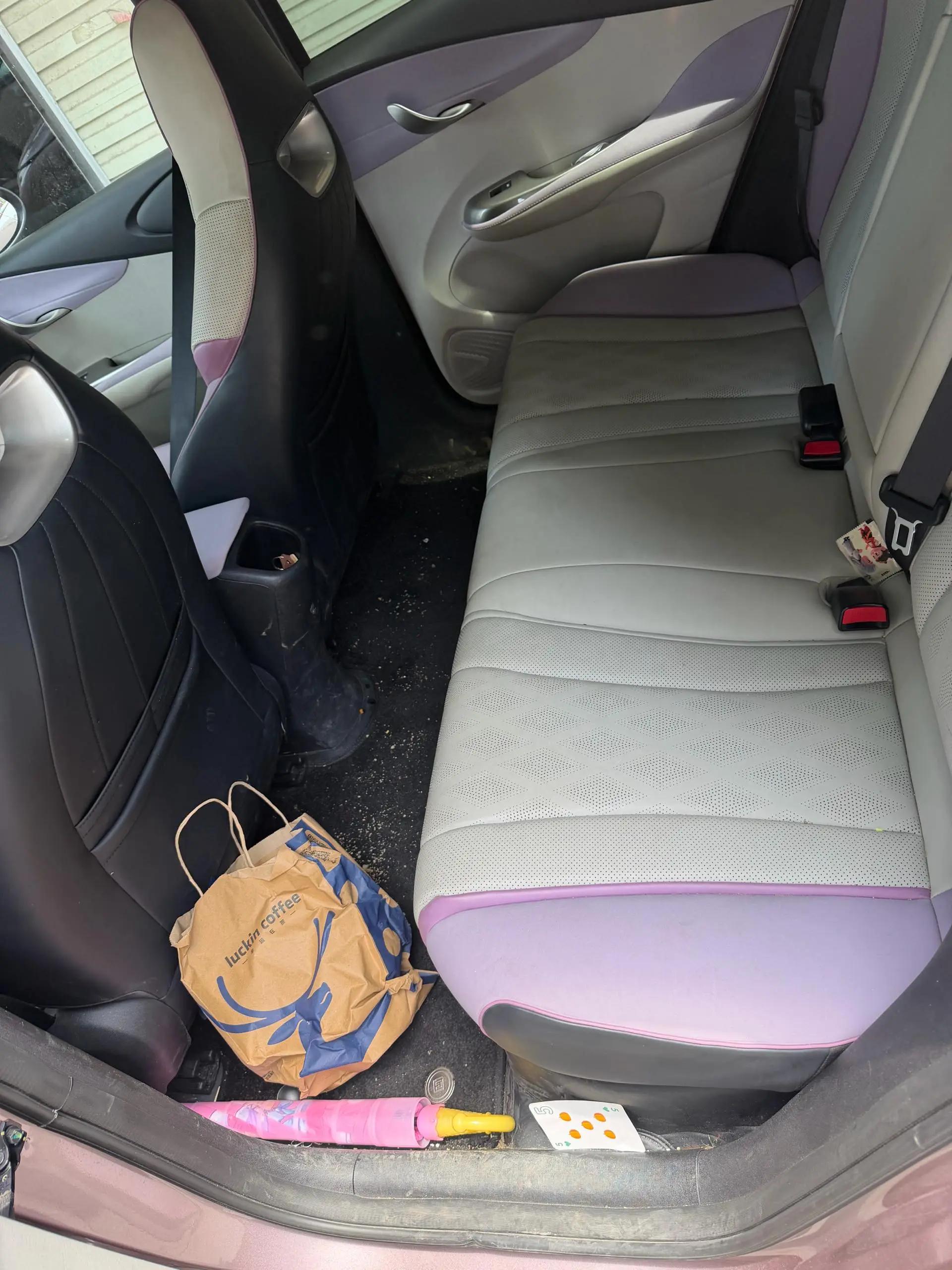 BYD 2024 Dolphin Glory Edition 420km Free Version Automatic 4