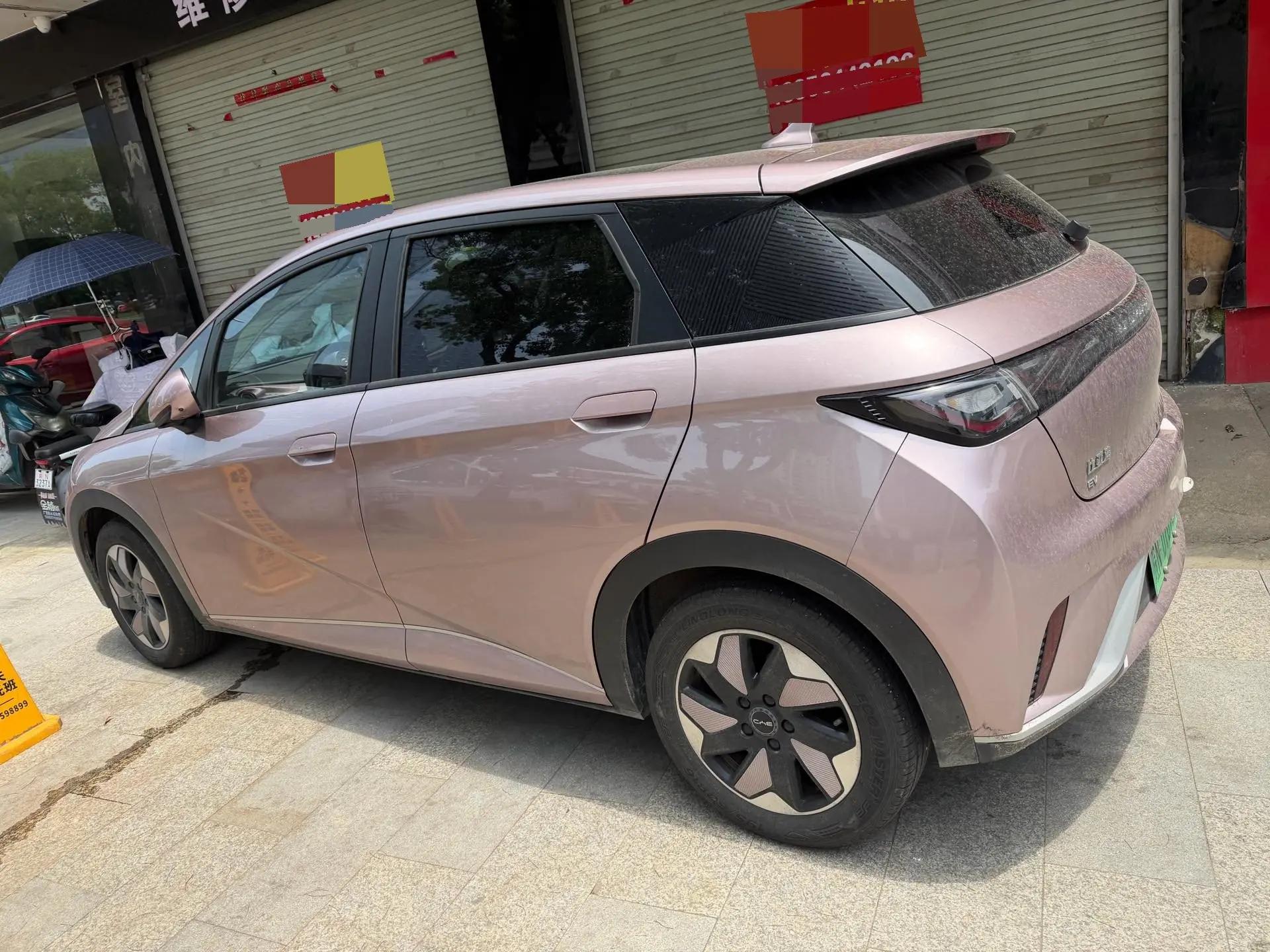 BYD 2024 Dolphin Glory Edition 420km Free Version Automatic 5