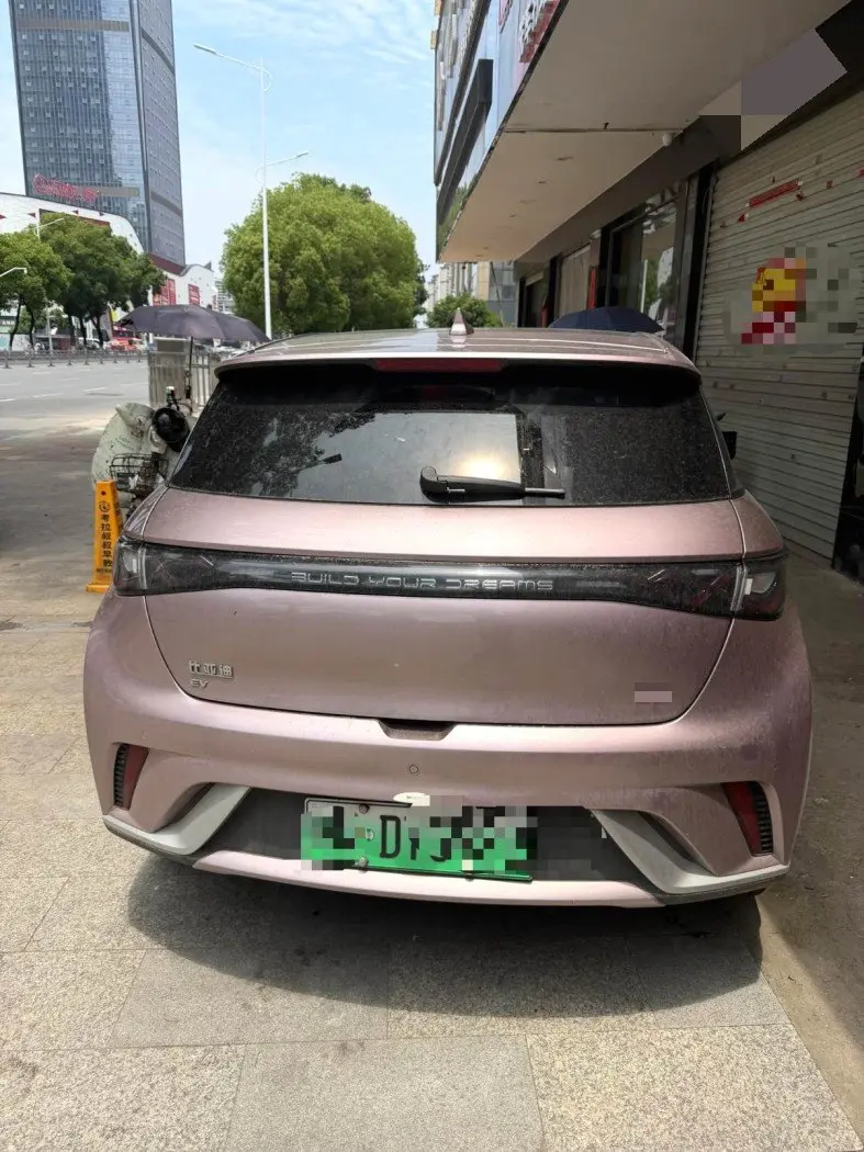 BYD 2024 Dolphin Glory Edition 420km Free Version Automatic 6