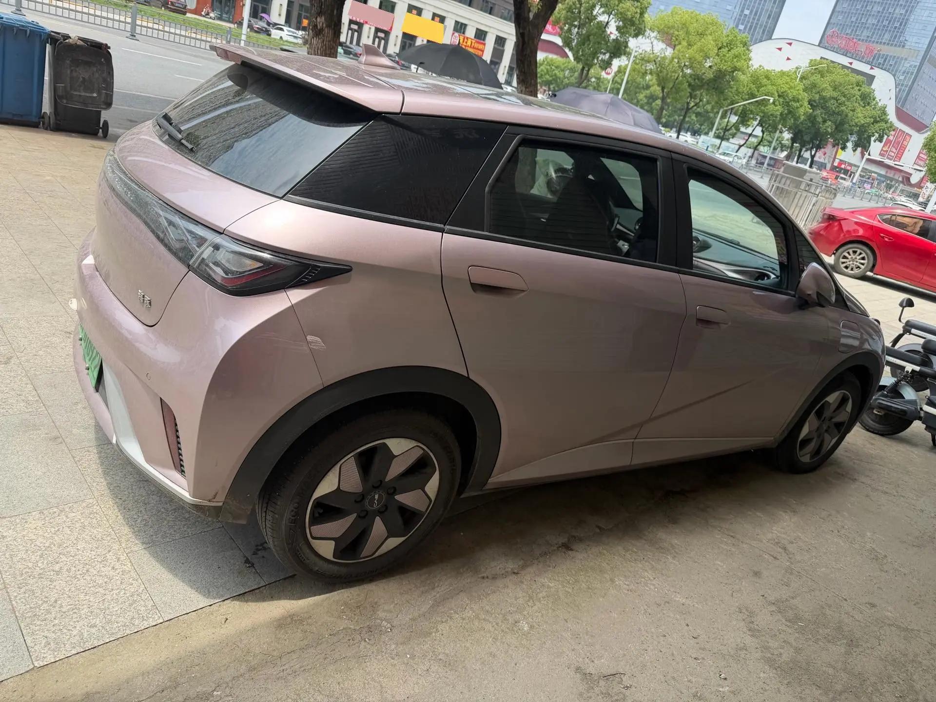 BYD 2024 Dolphin Glory Edition 420km Free Version Automatic 7