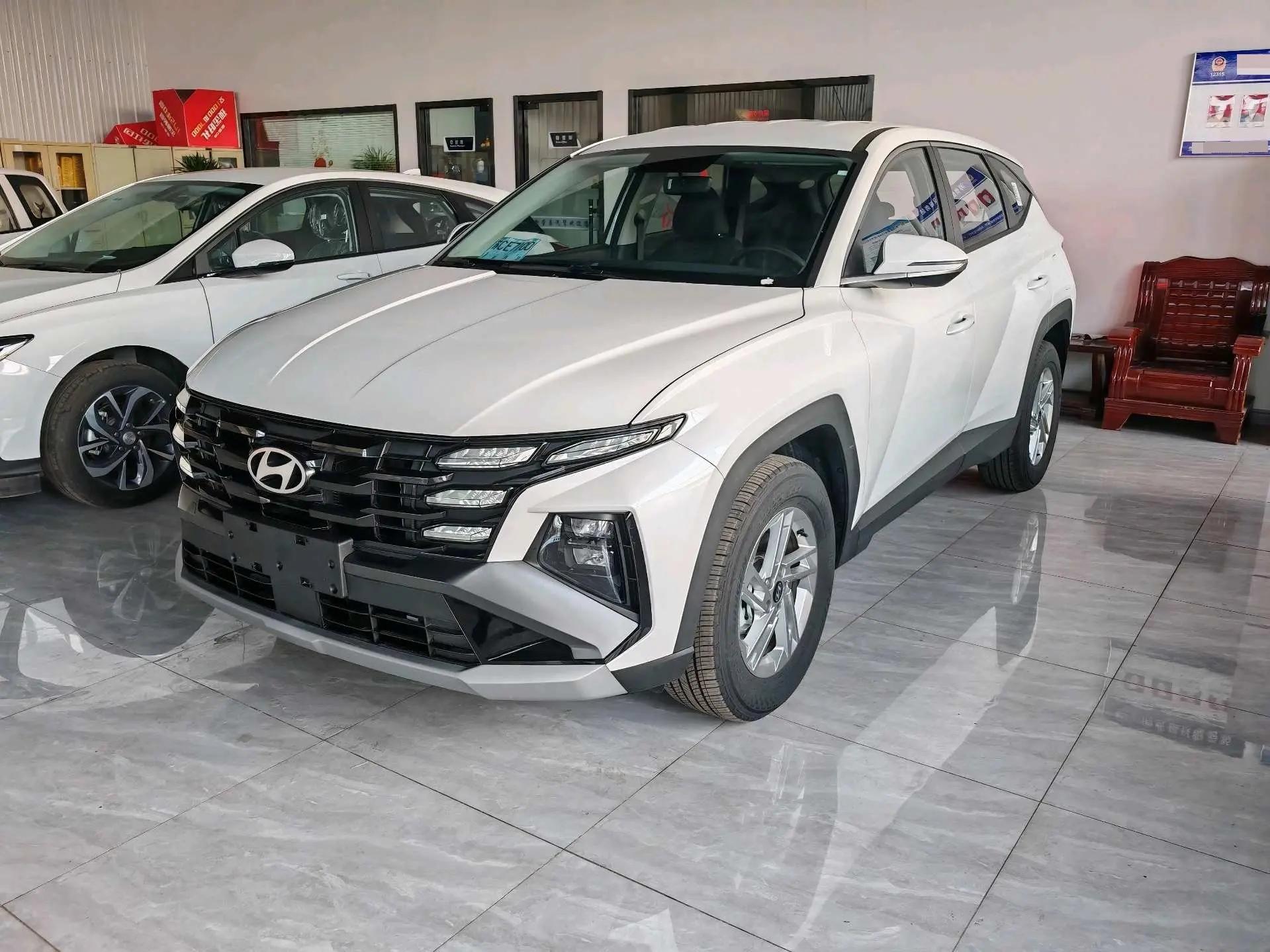 Tousheng 2023 Tousheng L 1.5T Automatic Two-Drive GLS Leading Edition
