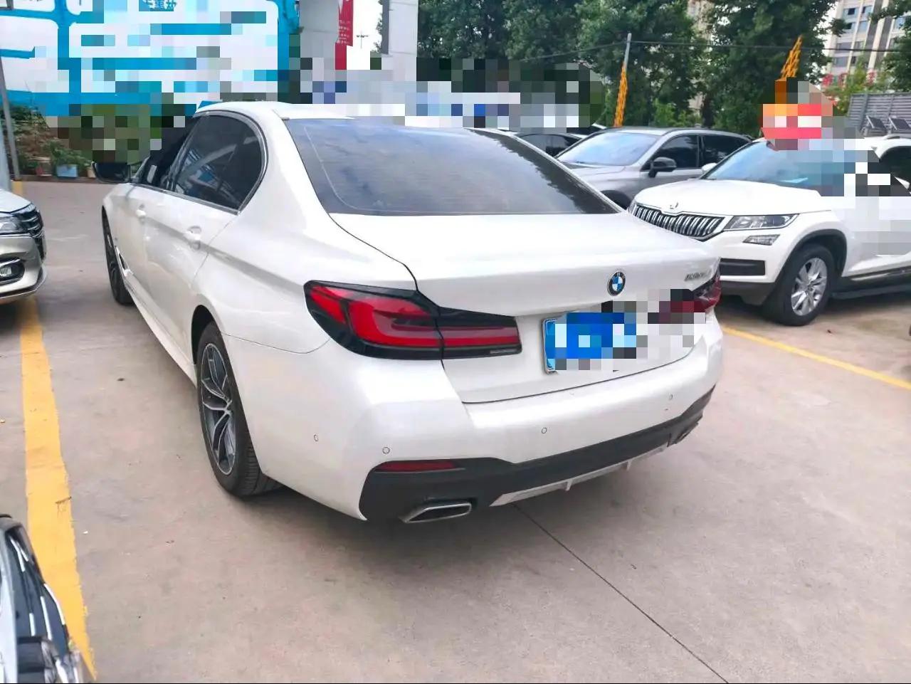BMW 5 Series 2022 525Li Deluxe Suit 6