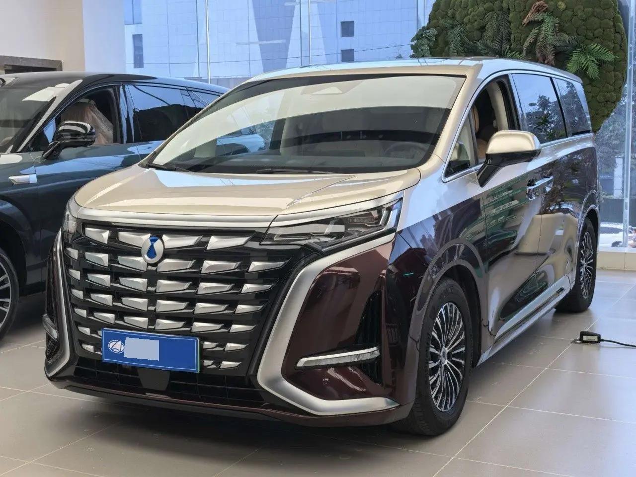 Denza D9 2024 DM-i 980 4-wheel drive Honor Model