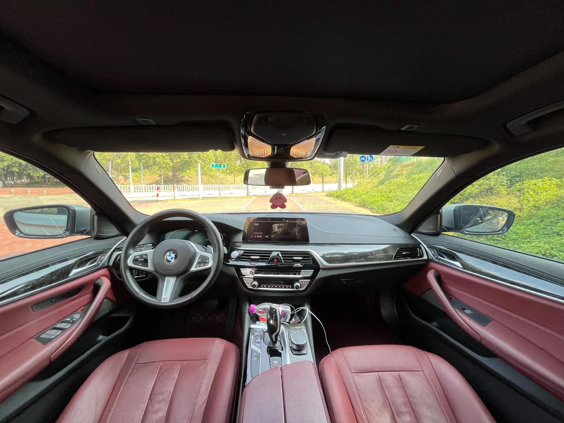 BMW 5 Series 2020 530Li Exclusive M Sports Suit 8
