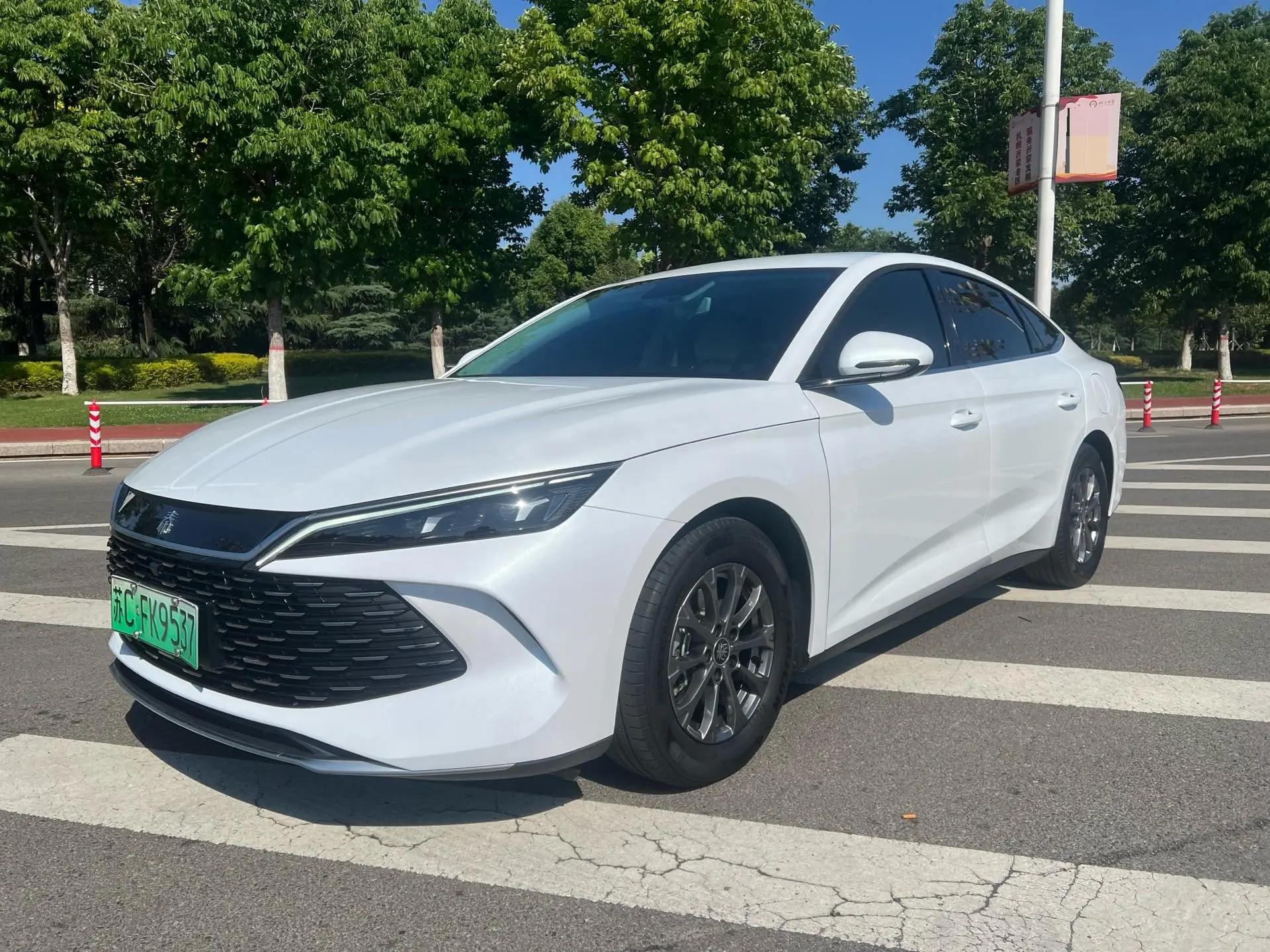 Qin L 2024 DM-i 80KM Leading Type