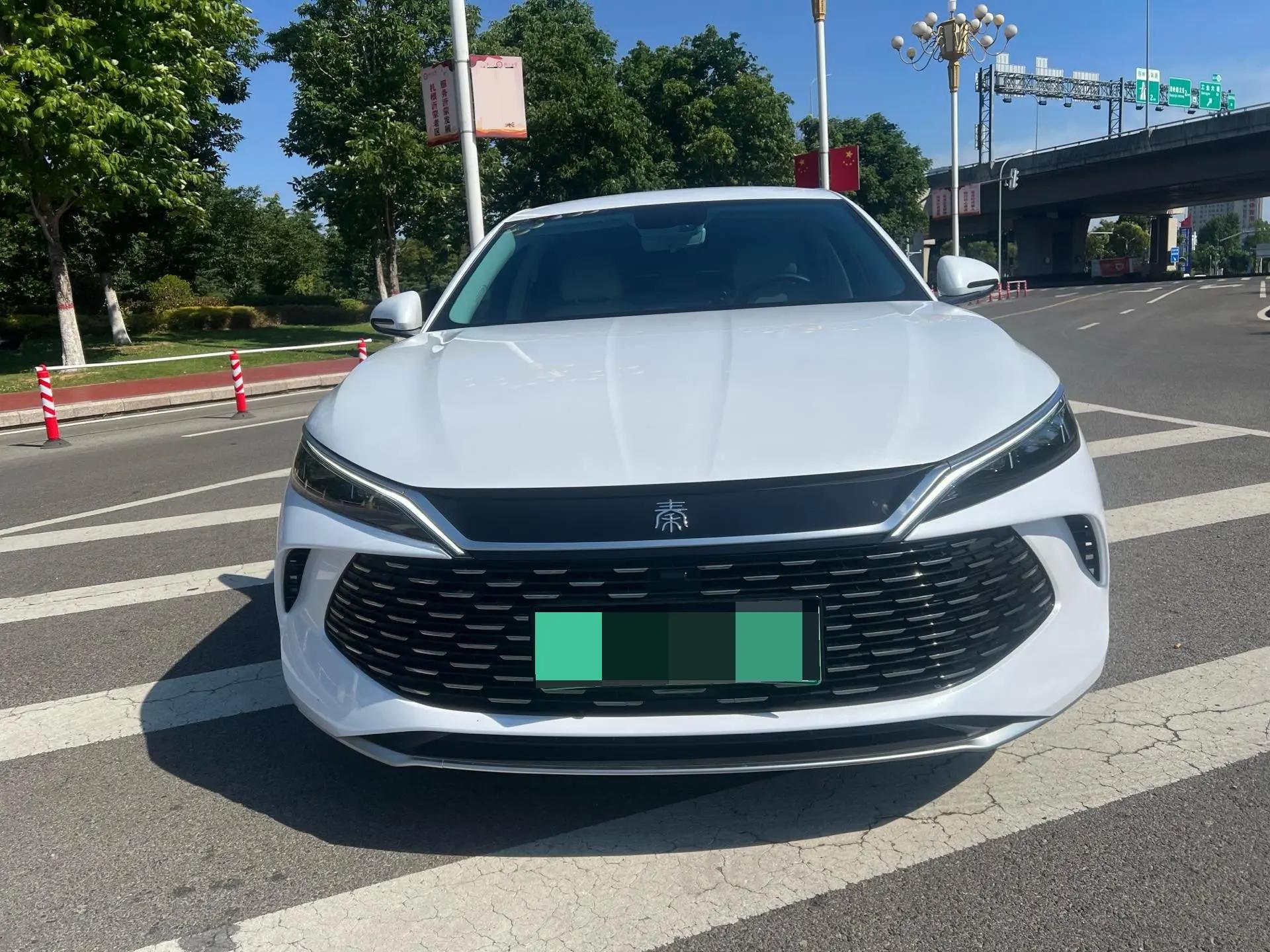 Qin L 2024 DM-i 80KM Leading Type 2